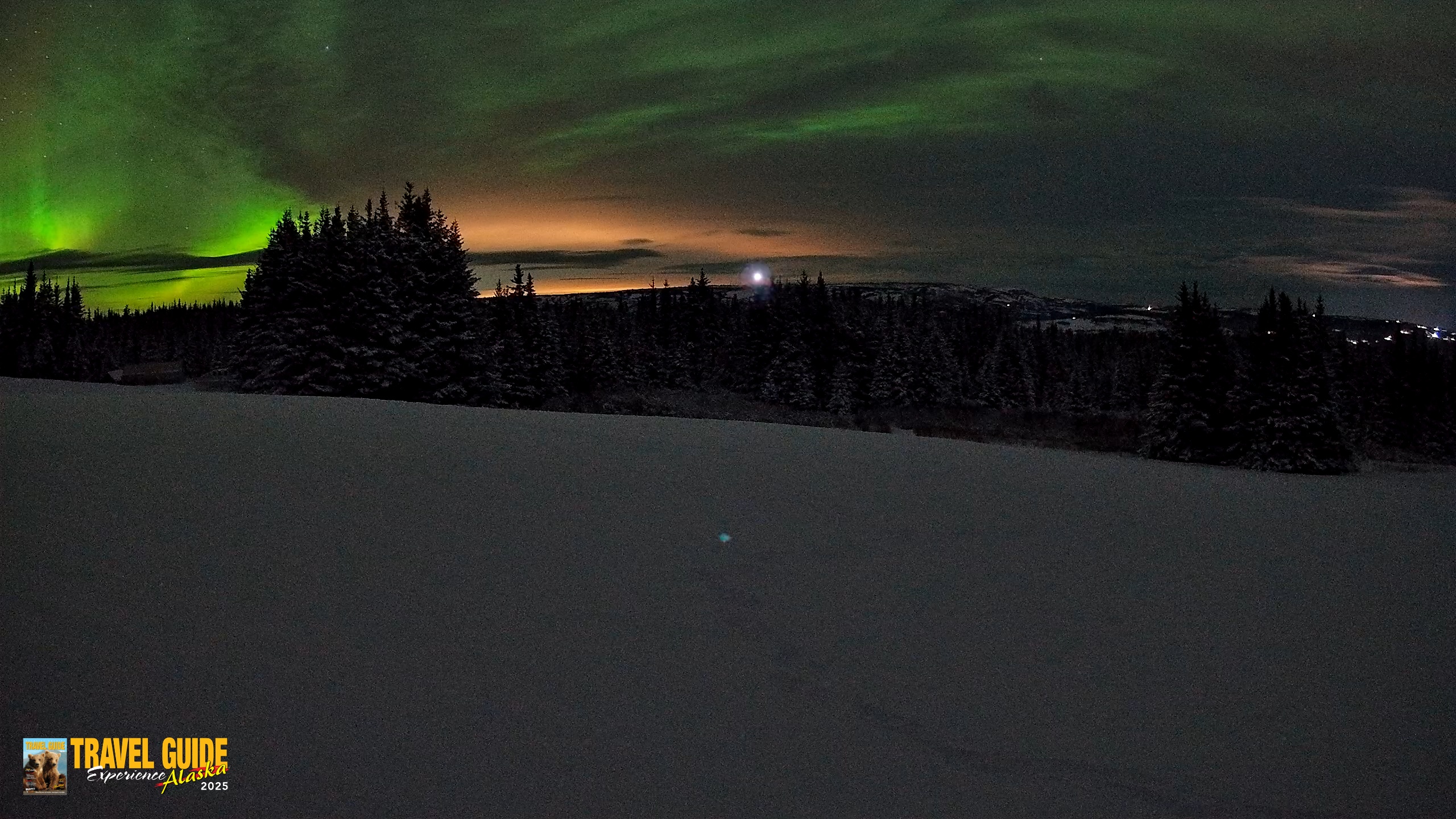 Snapshot of Homer Alaska Northern Lights Live Cam taken Jan 10, 2026, 10:11am AKST