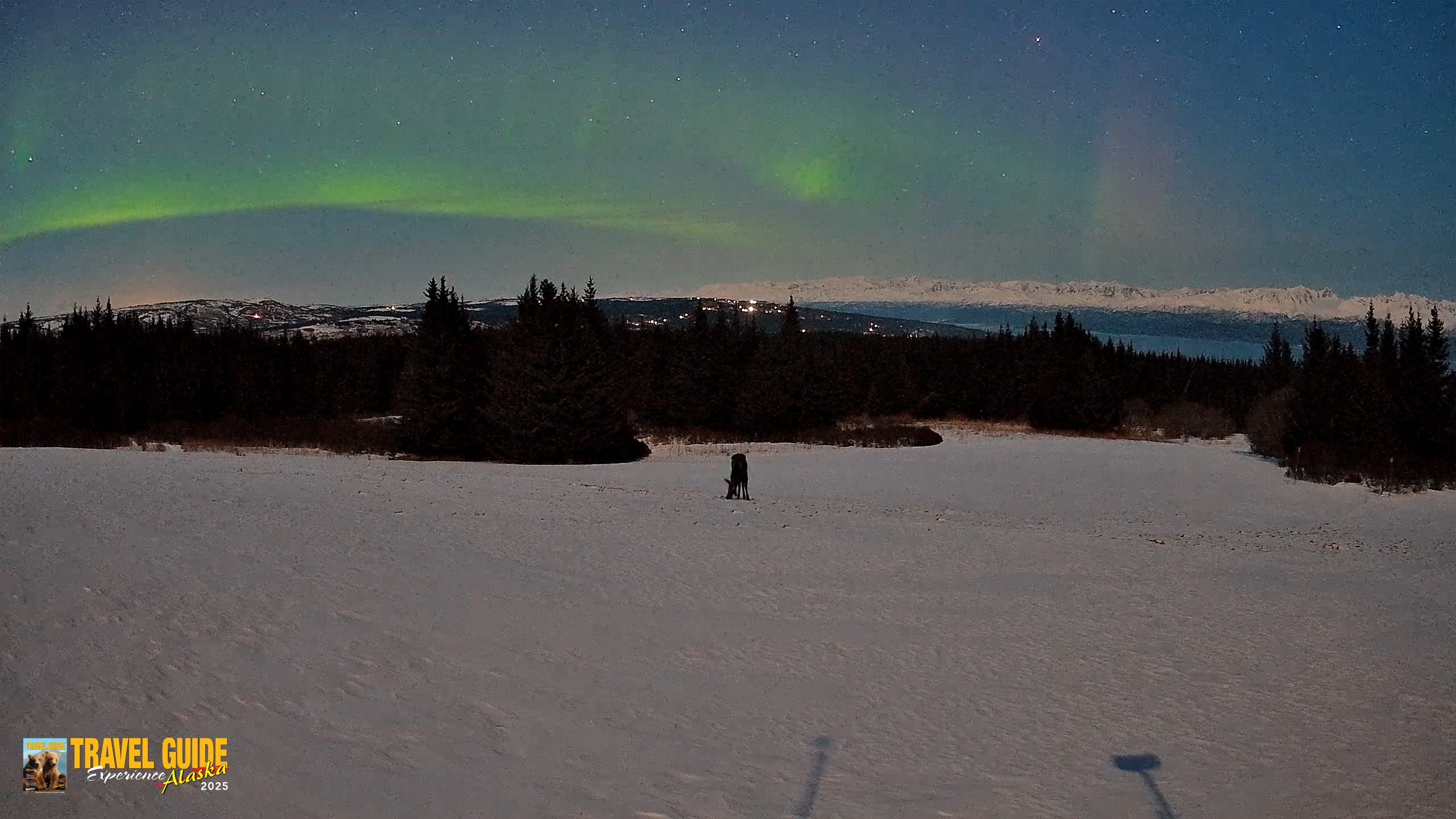 Snapshot of Homer Alaska Northern Lights Live Cam taken Mar 23, 2026, 10:06pm AKDT
