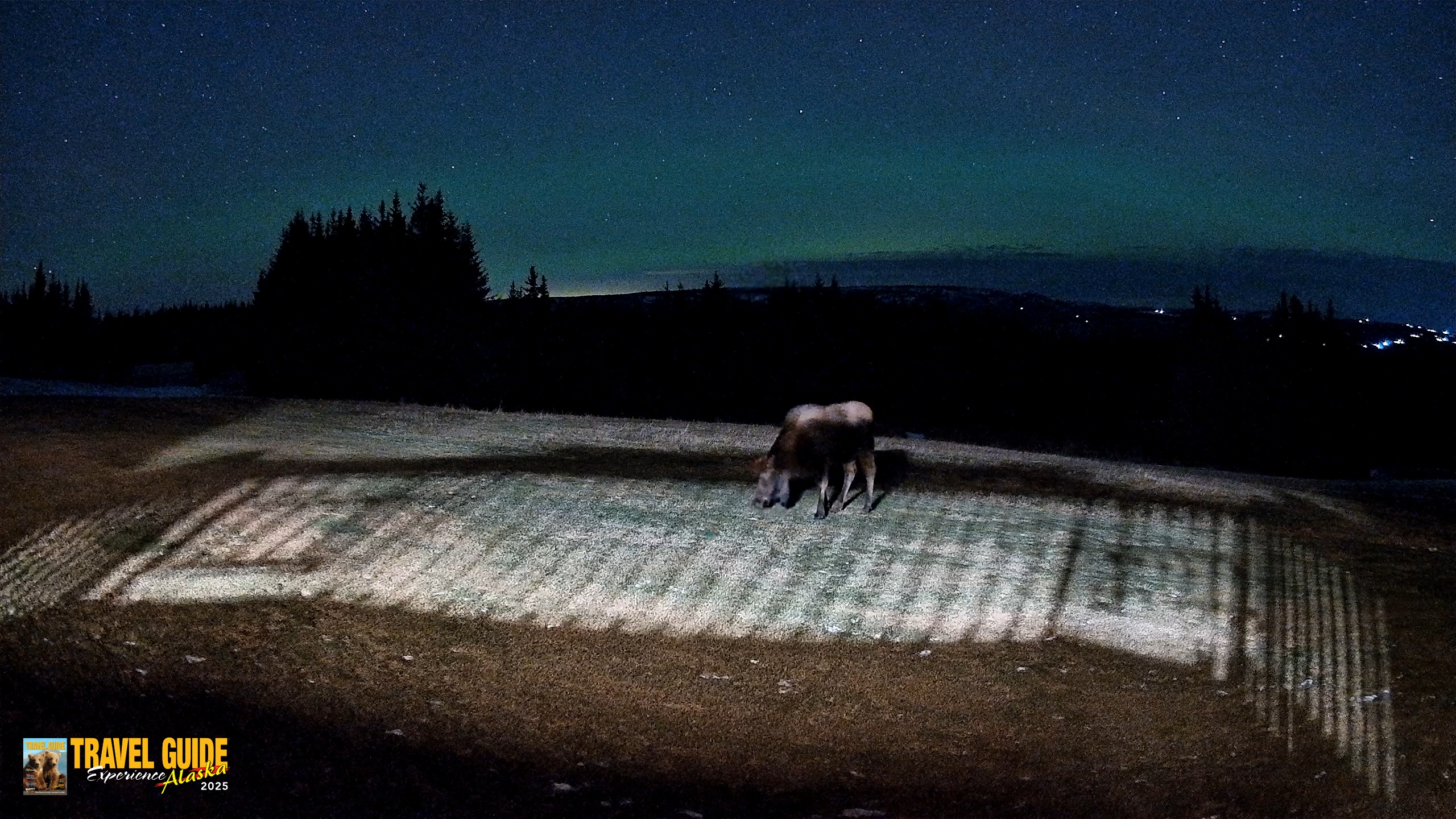 Snapshot of Homer Alaska Northern Lights Live Cam taken Dec 22, 2025, 9:50pm AKST