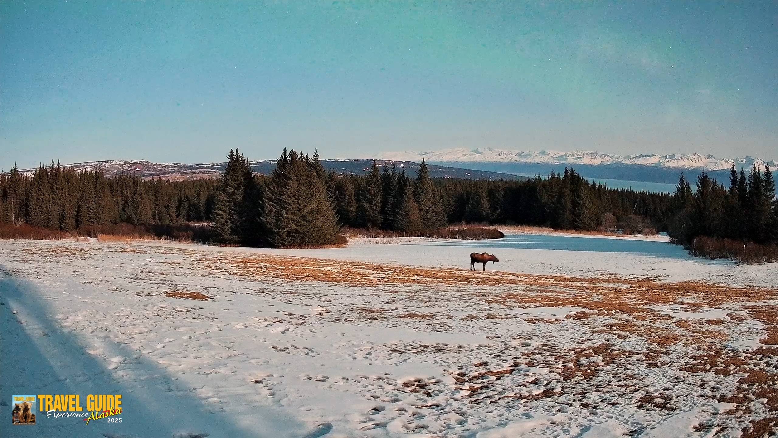 Snapshot of Homer Alaska Northern Lights Live Cam taken Apr 3, 2026, 4:09am AKDT