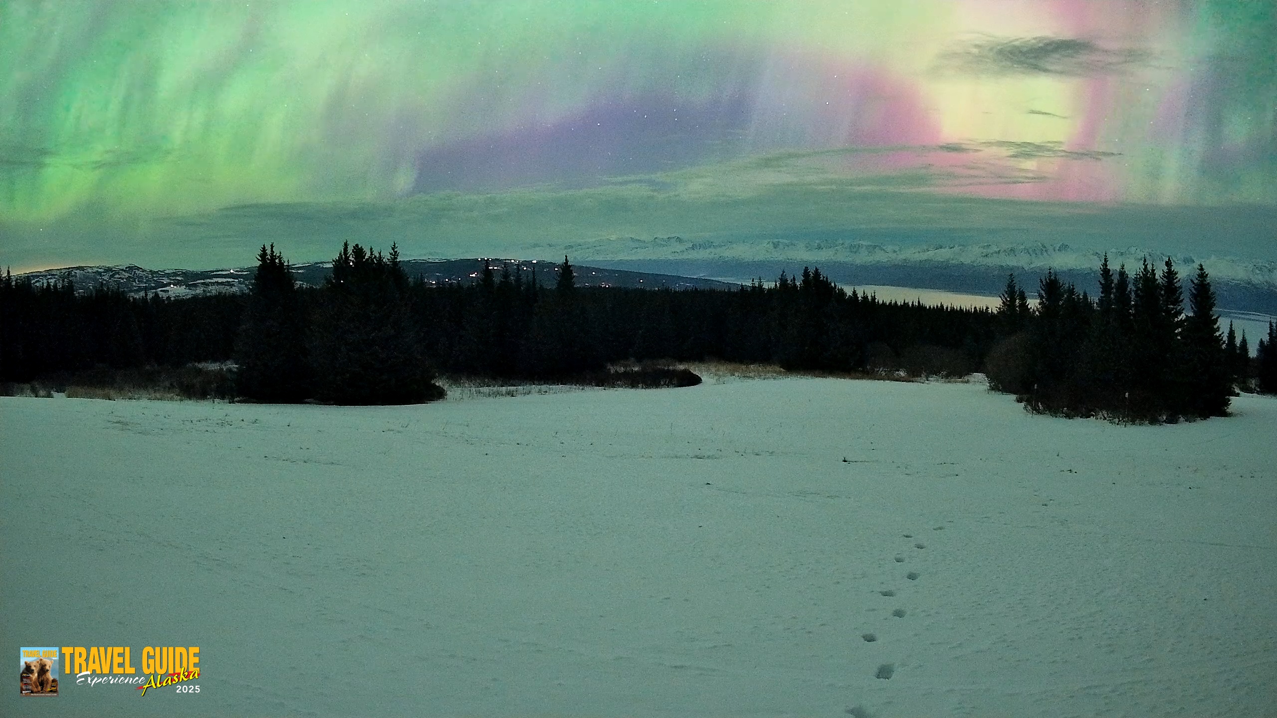 Snapshot of Homer Alaska Northern Lights Live Cam taken Jan 20, 2026, 5:58am AKST