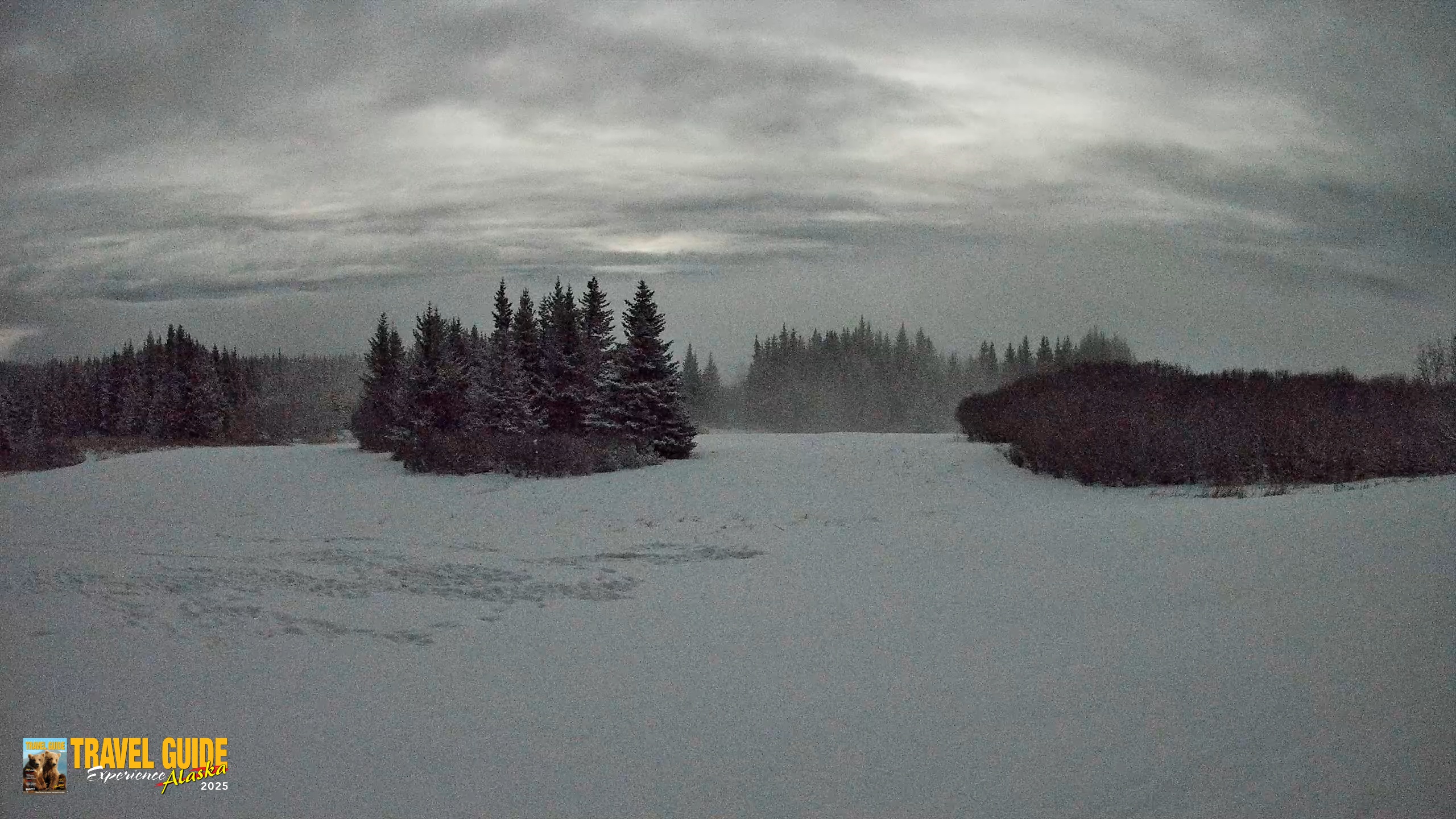 Snapshot of Homer Alaska Northern Lights Live Cam taken Jan 6, 2026, 12:12am AKST