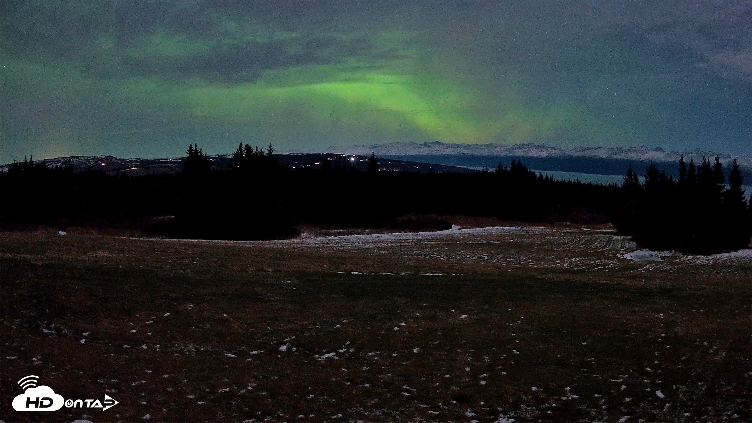 Snapshot of Homer Alaska Northern Lights Live Cam taken Dec 12, 2025, 6:36am AKST