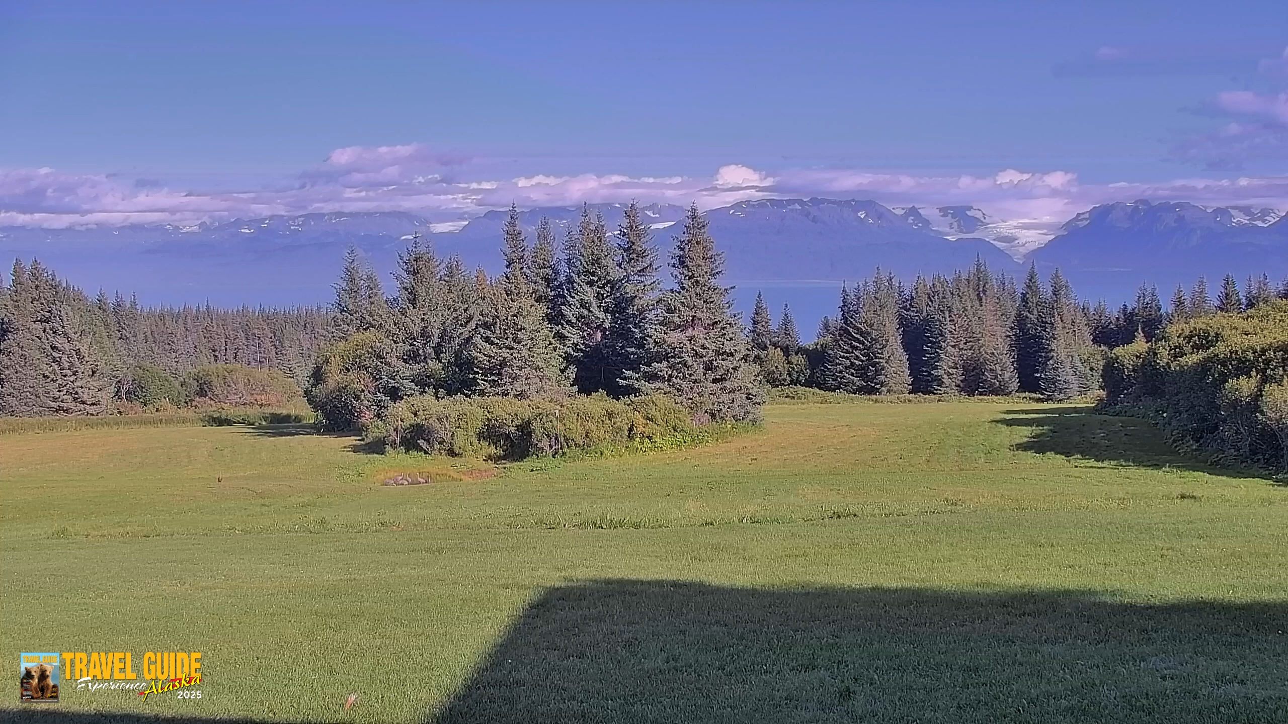 Snapshot of Homer Alaska Northern Lights Live Cam taken Aug 29, 2026, 5:28pm AKDT