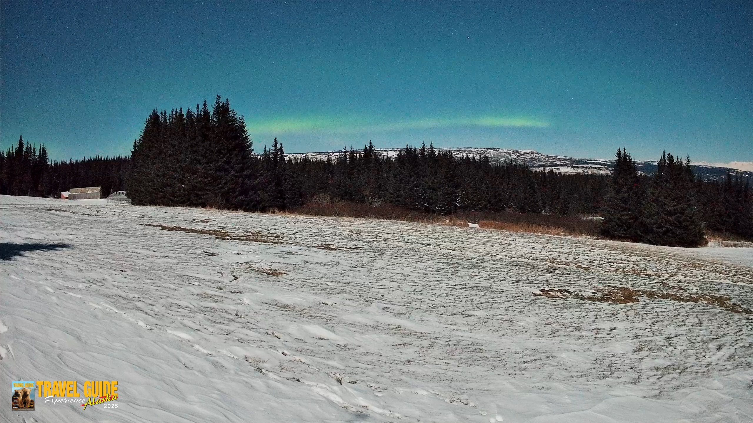 Snapshot of Homer Alaska Northern Lights Live Cam taken Jan 3, 2026, 4:23am AKST