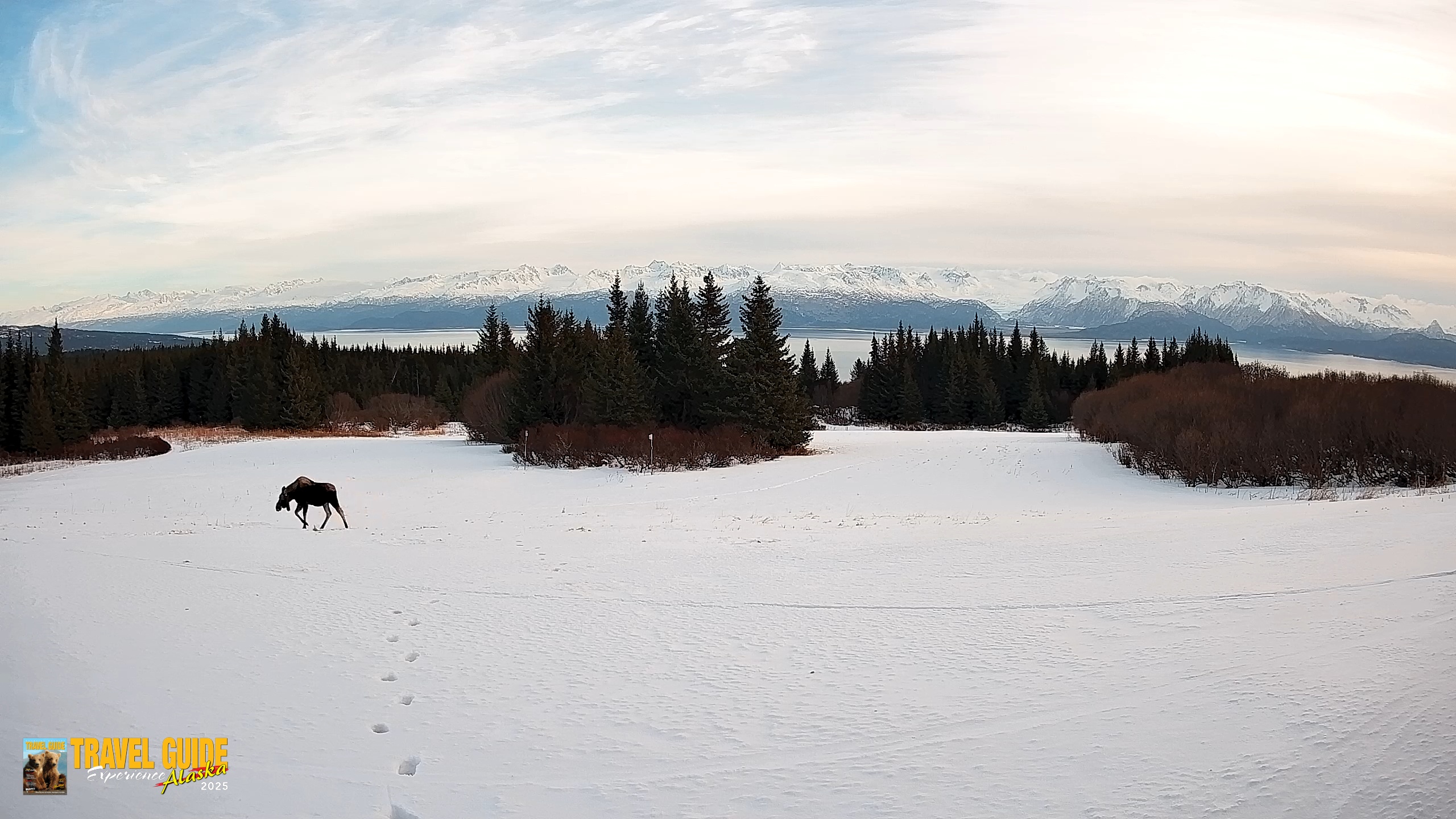 Snapshot of Homer Alaska Northern Lights Live Cam taken Jan 19, 2026, 6:46pm AKST