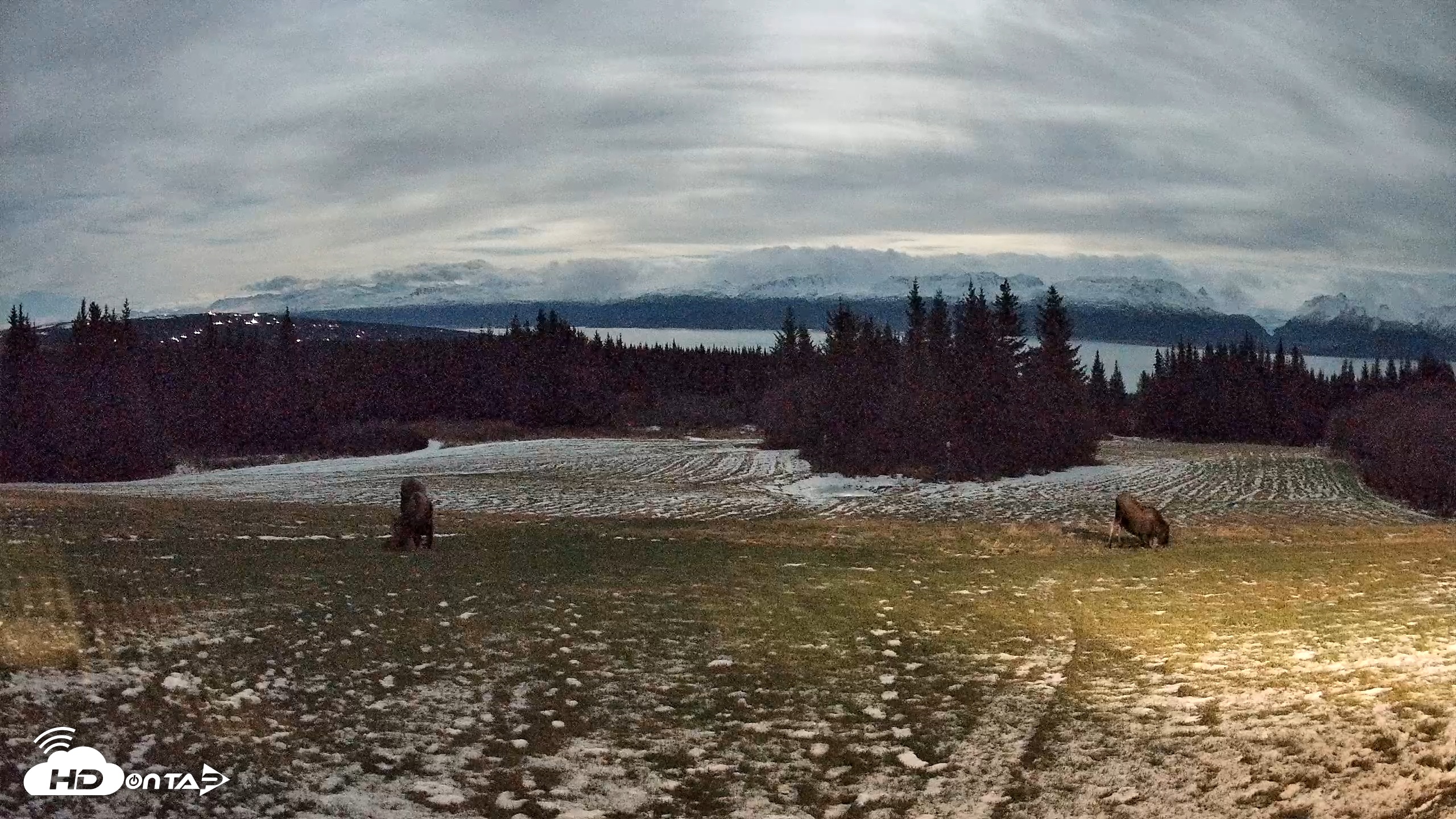 Snapshot of Homer Alaska Northern Lights Live Cam taken Dec 2, 2025, 6:20pm AKST