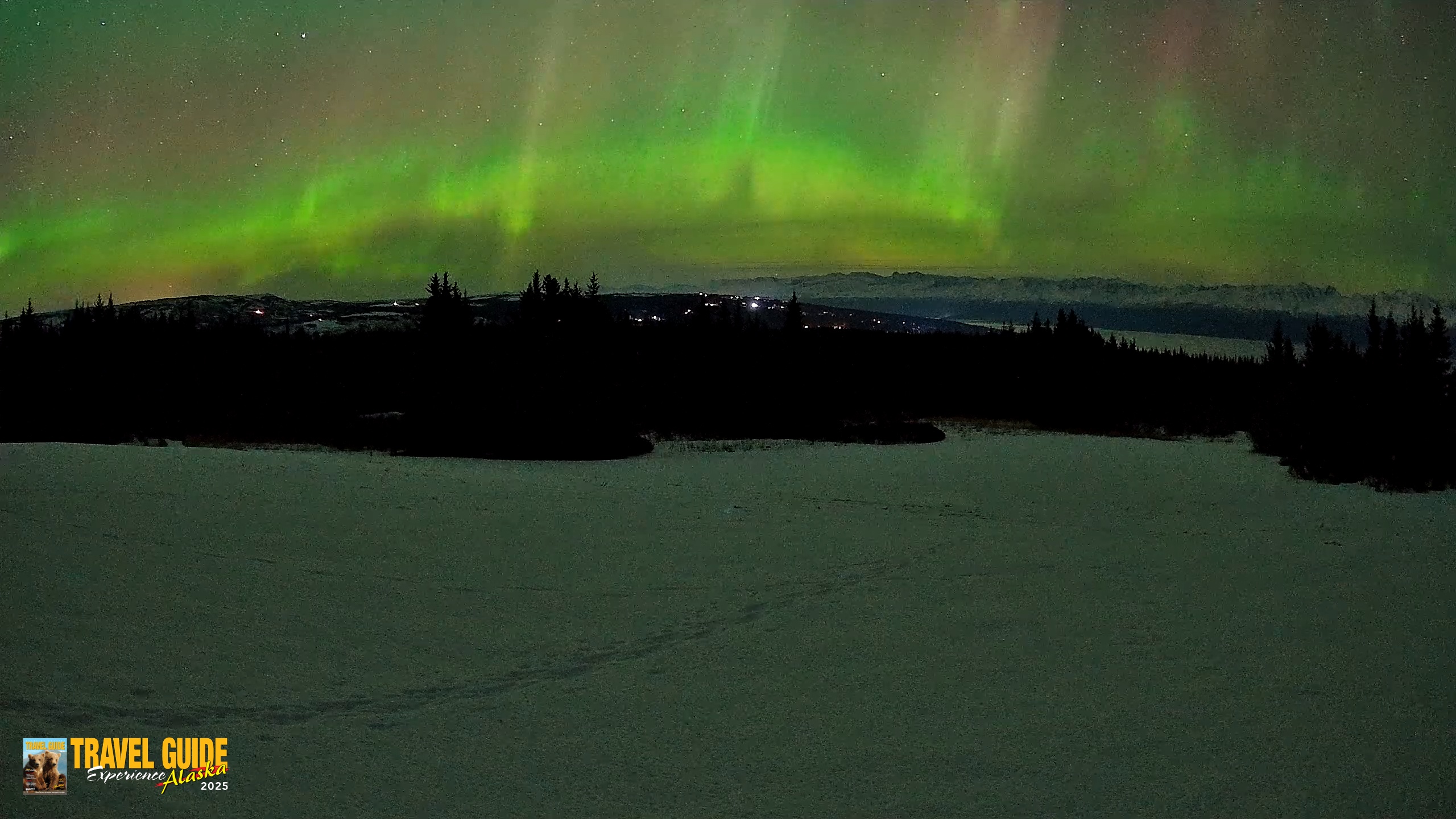 Snapshot of Homer Alaska Northern Lights Live Cam taken Feb 22, 2026, 12:39am AKST