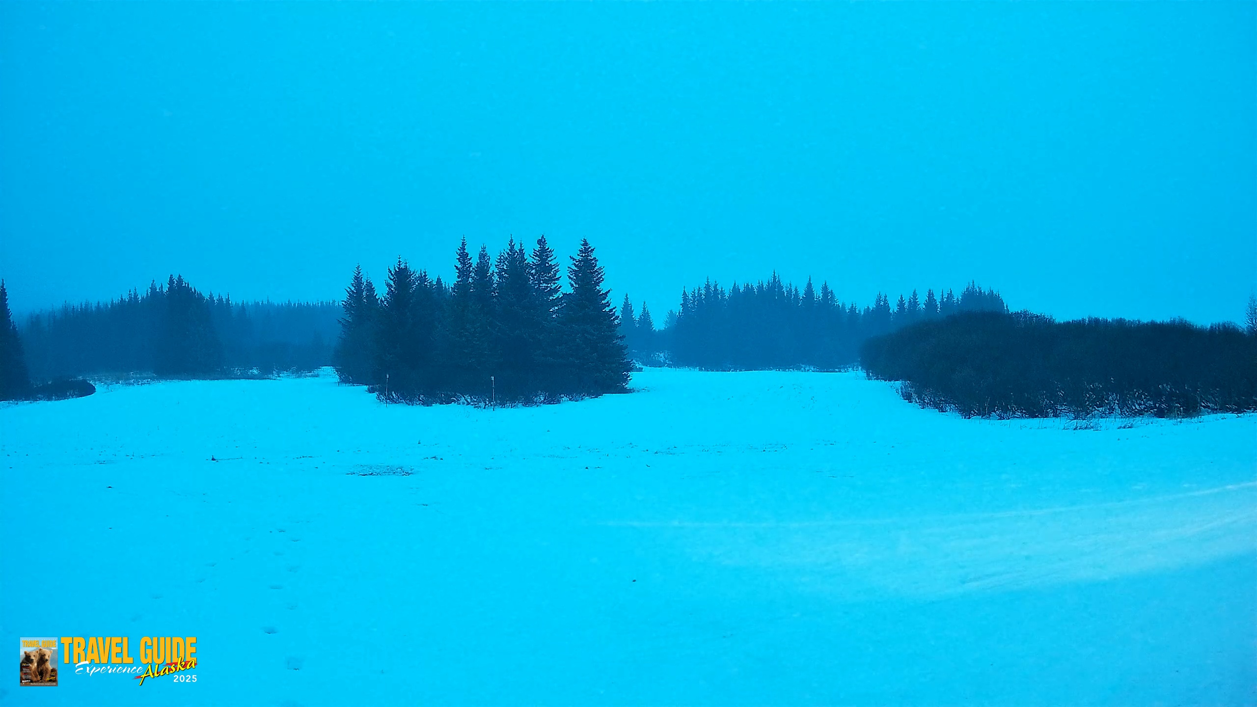 Snapshot of Homer Alaska Northern Lights Live Cam taken Jan 26, 2026, 2:41pm AKST