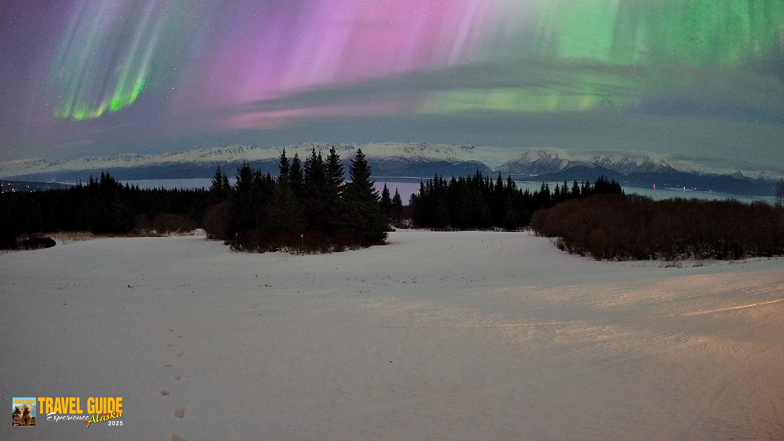 Snapshot of Homer Alaska Northern Lights Live Cam taken Jan 20, 2026, 7:05am AKST