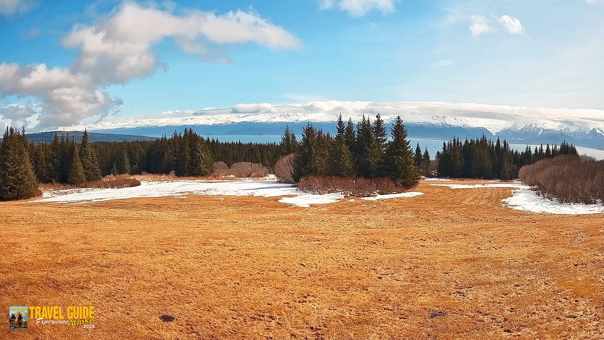 Snapshot of Homer Alaska Northern Lights Live Cam taken Apr 21, 2026, 1:18pm AKDT