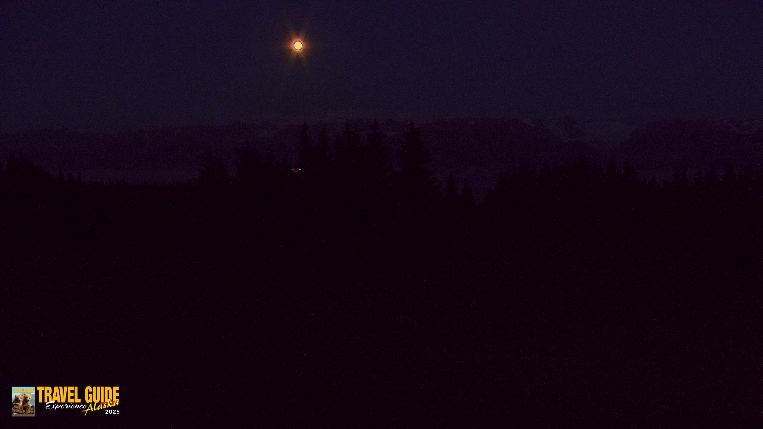 Snapshot of Homer Alaska Northern Lights Live Cam taken Aug 29, 2026, 10:14pm AKDT