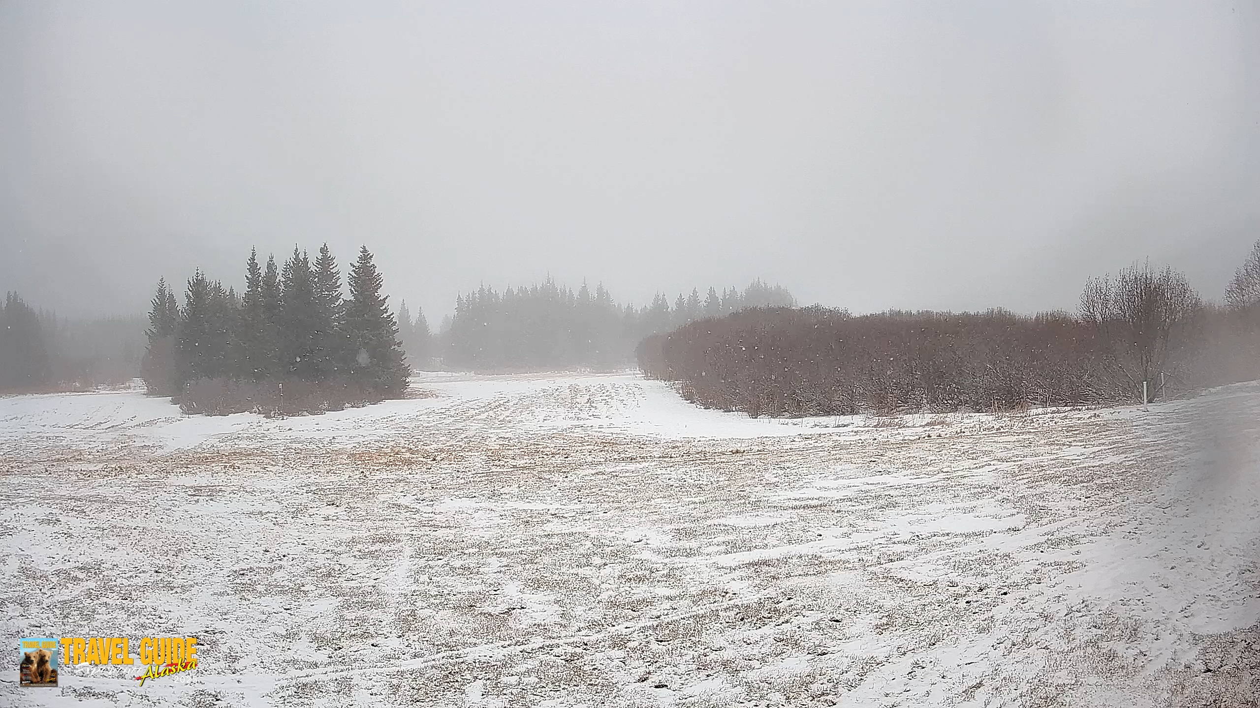 Snapshot of Homer Alaska Northern Lights Live Cam taken Feb 10, 2026, 11:33am AKST