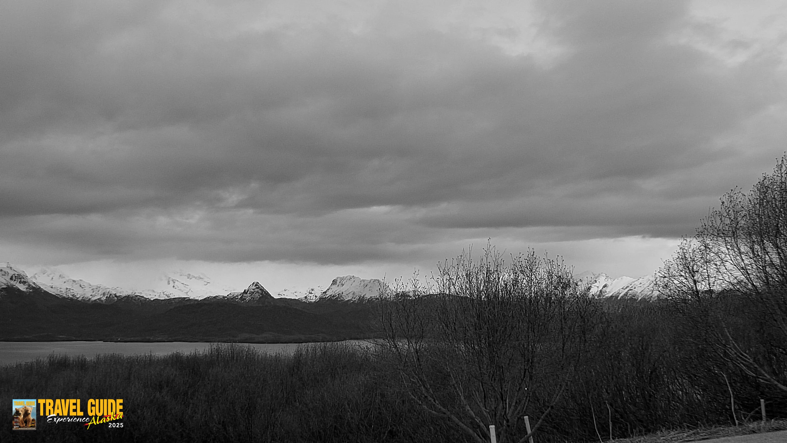 Snapshot of Homer Alaska Northern Lights Live Cam taken May 13, 2026, 11:12pm AKDT