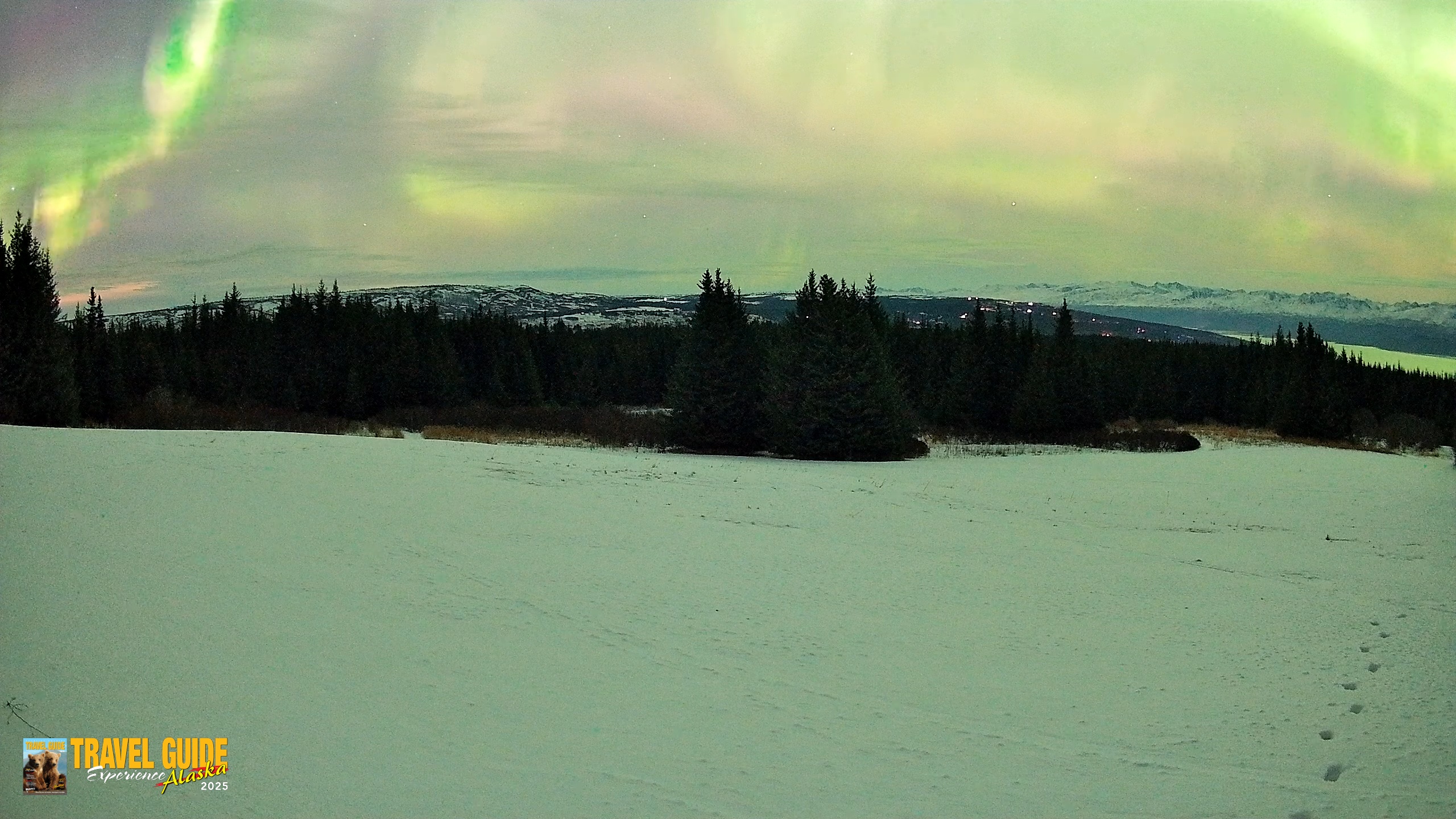 Snapshot of Homer Alaska Northern Lights Live Cam taken Jan 20, 2026, 11:48pm AKST
