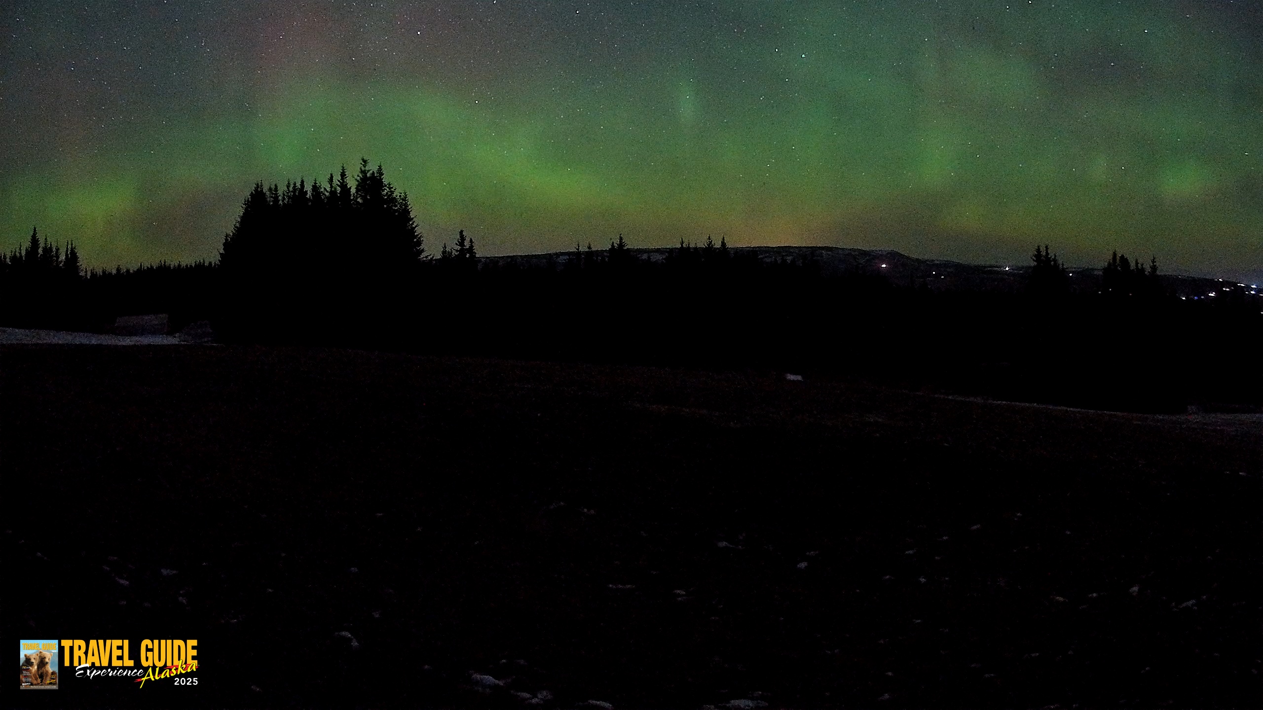 Snapshot of Homer Alaska Northern Lights Live Cam taken Dec 15, 2025, 4:37am AKST