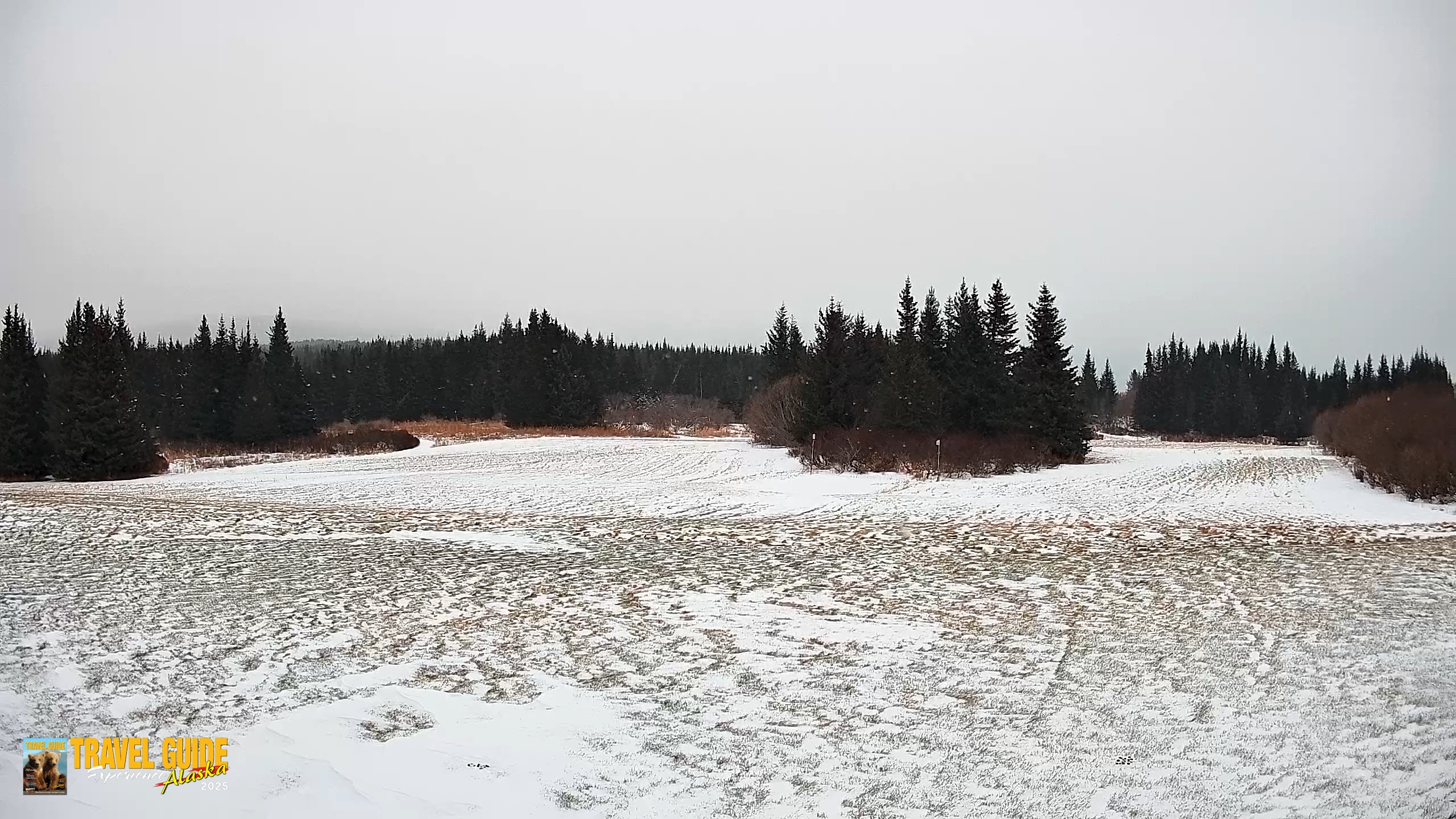 Snapshot of Homer Alaska Northern Lights Live Cam taken Dec 29, 2025, 2:48pm AKST