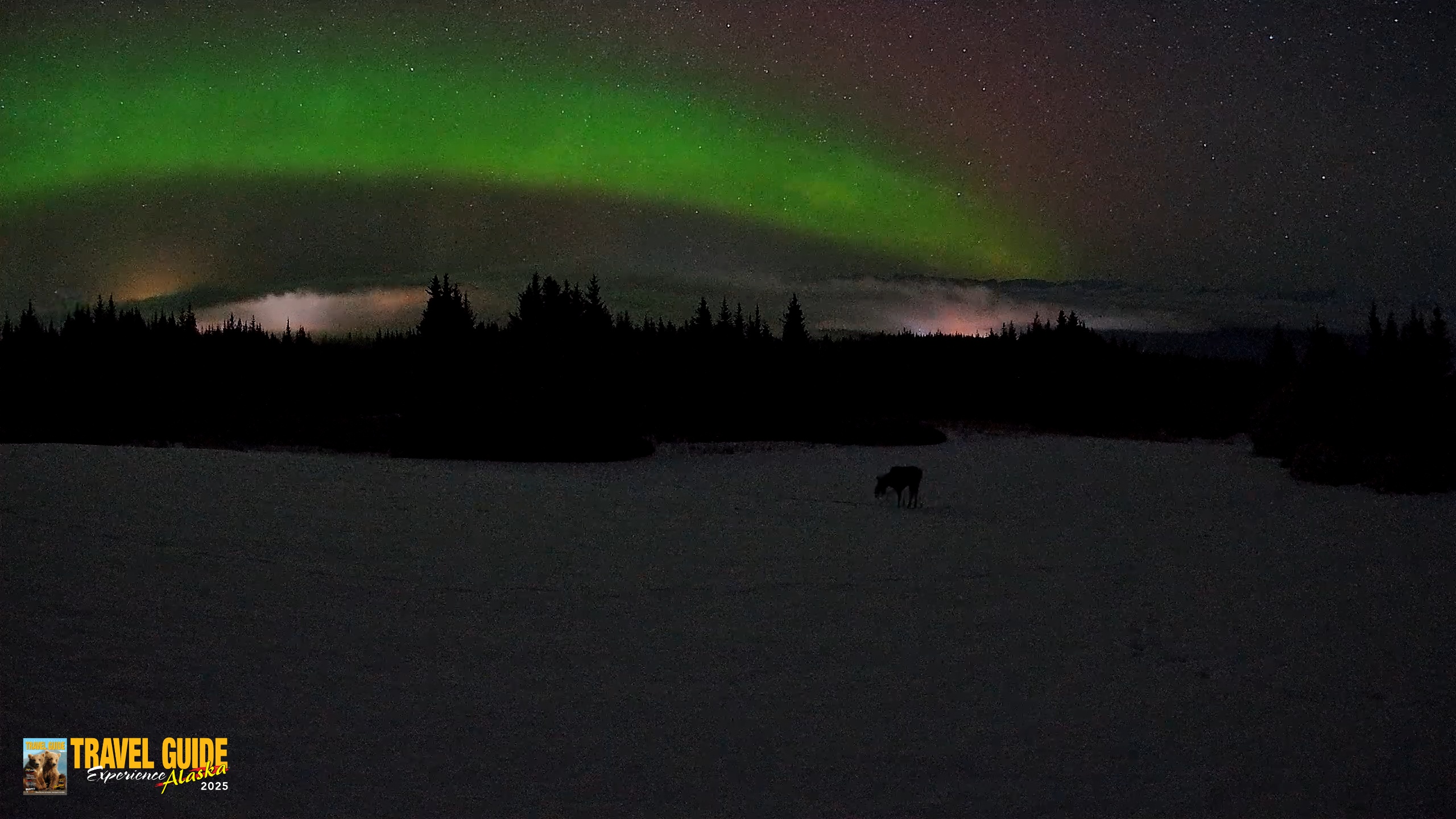 Snapshot of Homer Alaska Northern Lights Live Cam taken Feb 19, 2026, 3:26am AKST