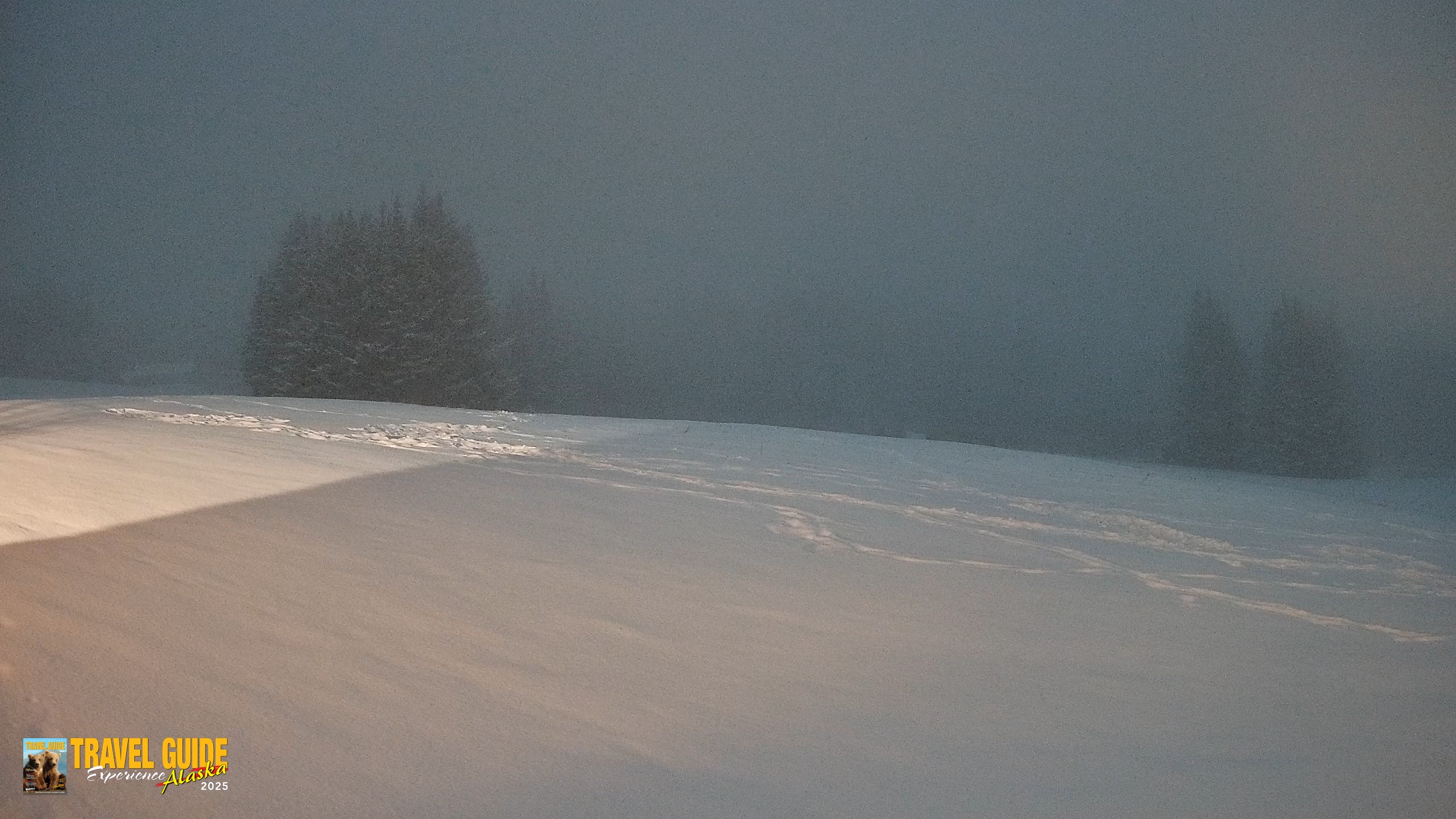 Snapshot of Homer Alaska Northern Lights Live Cam taken Jan 5, 2026, 10:06pm AKST