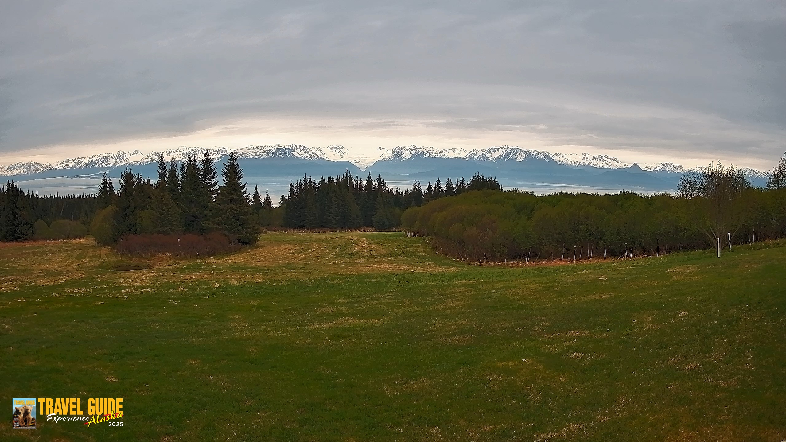 Snapshot of Homer Alaska Northern Lights Live Cam taken Jun 8, 2026, 7:01am AKDT