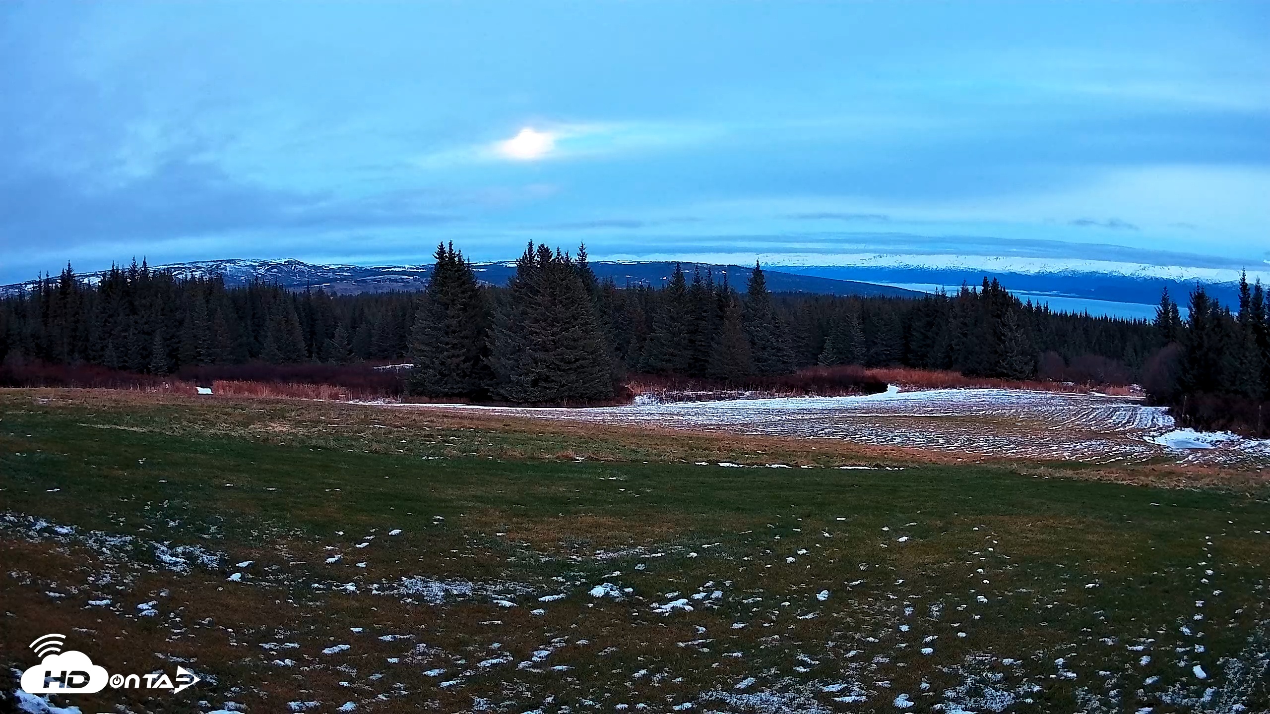 Snapshot of Homer Alaska Northern Lights Live Cam taken Dec 4, 2025, 5:18pm AKST