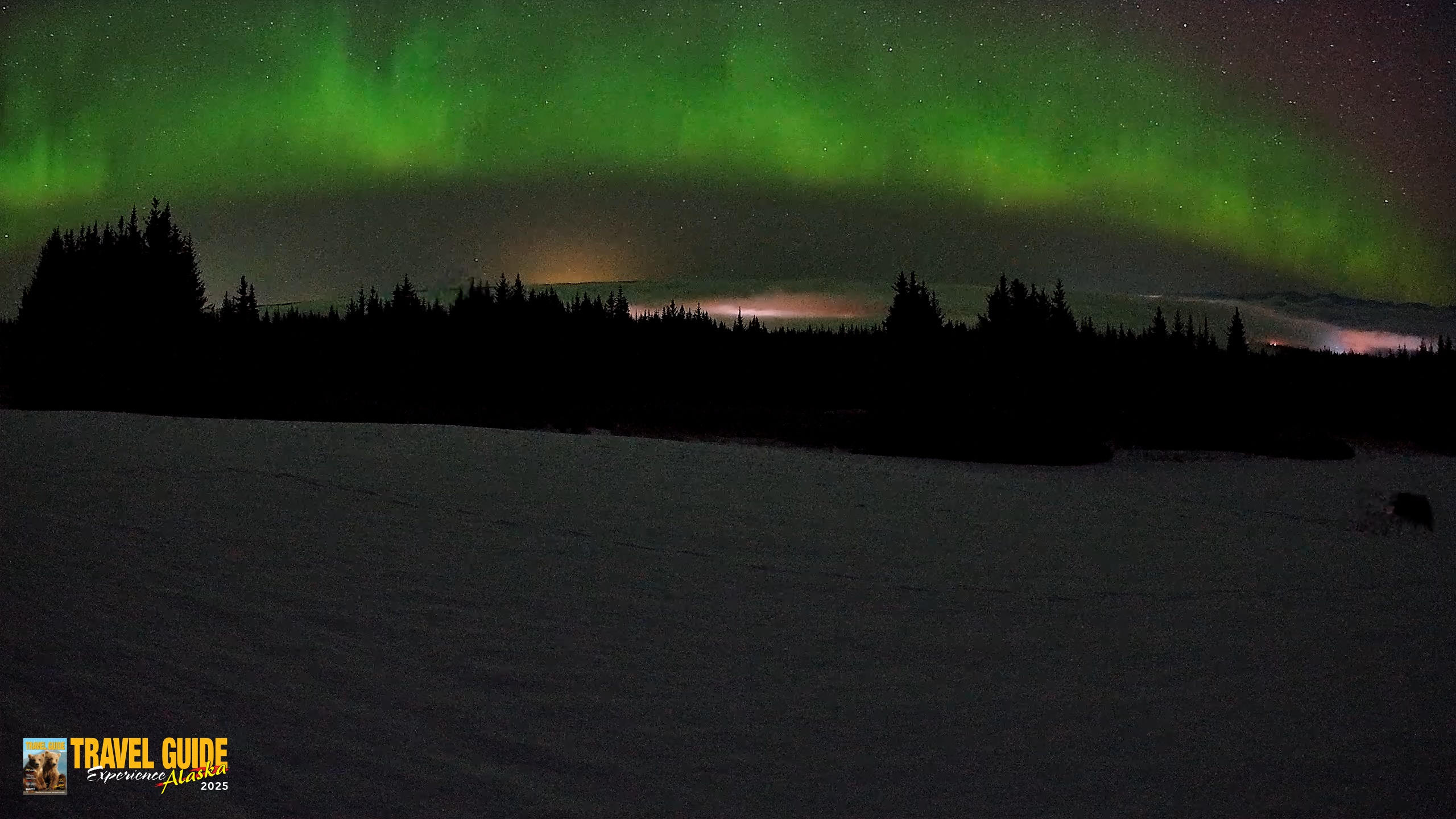 Snapshot of Homer Alaska Northern Lights Live Cam taken Feb 19, 2026, 3:35am AKST