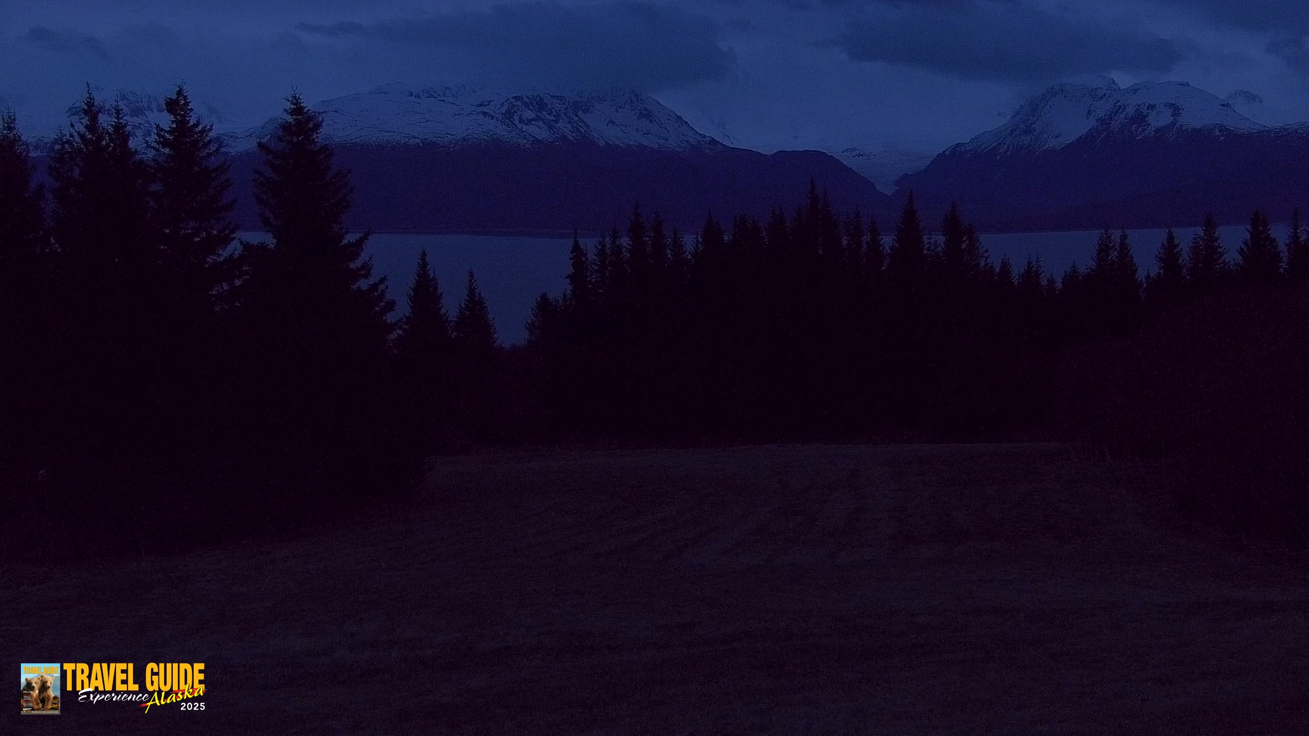 Snapshot of Homer Alaska Northern Lights Live Cam taken May 21, 2026, 4:22am AKDT