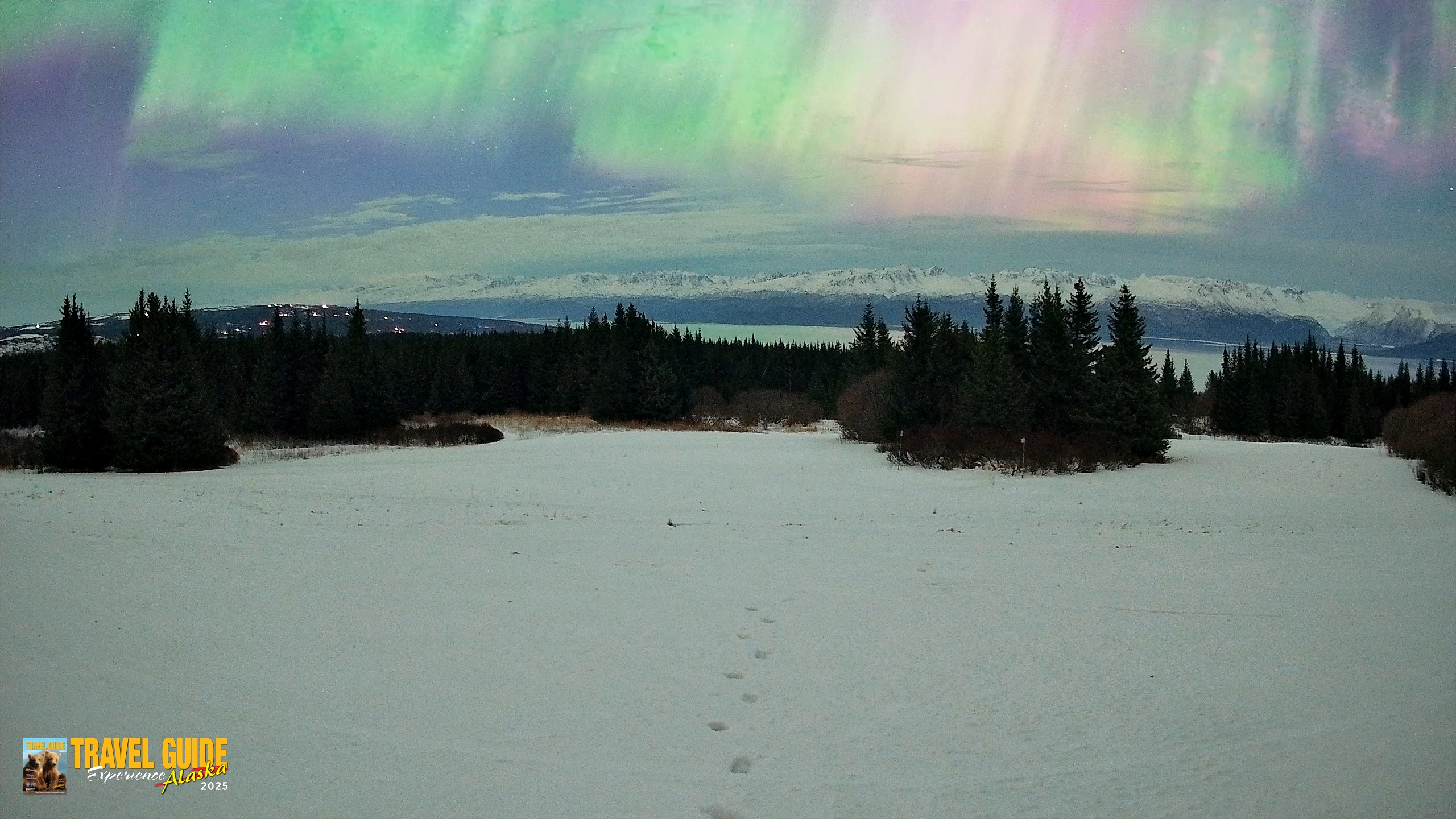 Snapshot of Homer Alaska Northern Lights Live Cam taken Jan 20, 2026, 6:18am AKST