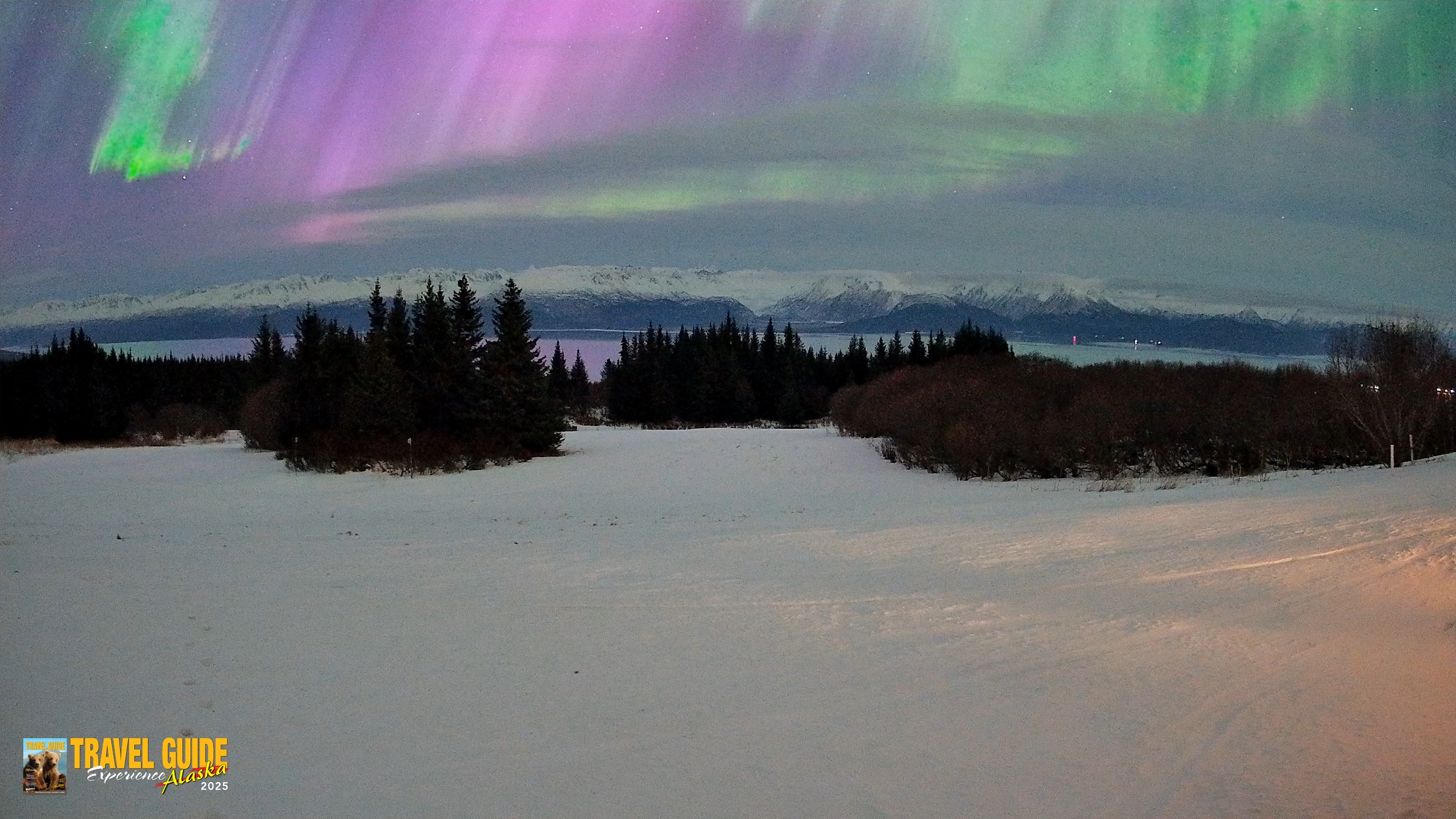 Snapshot of Homer Alaska Northern Lights Live Cam taken Jan 20, 2026, 7:00am AKST