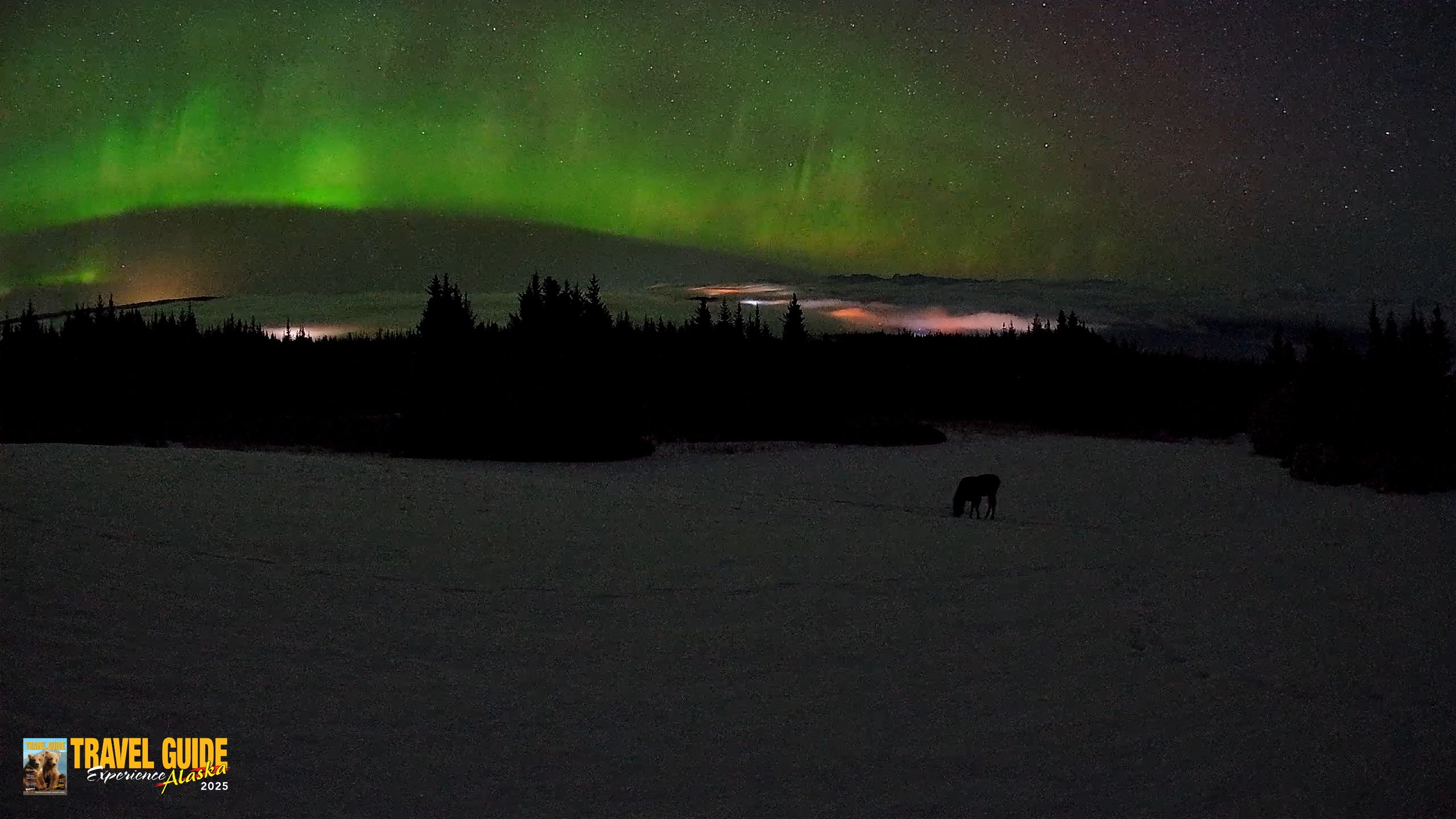 Snapshot of Homer Alaska Northern Lights Live Cam taken Feb 19, 2026, 3:49am AKST