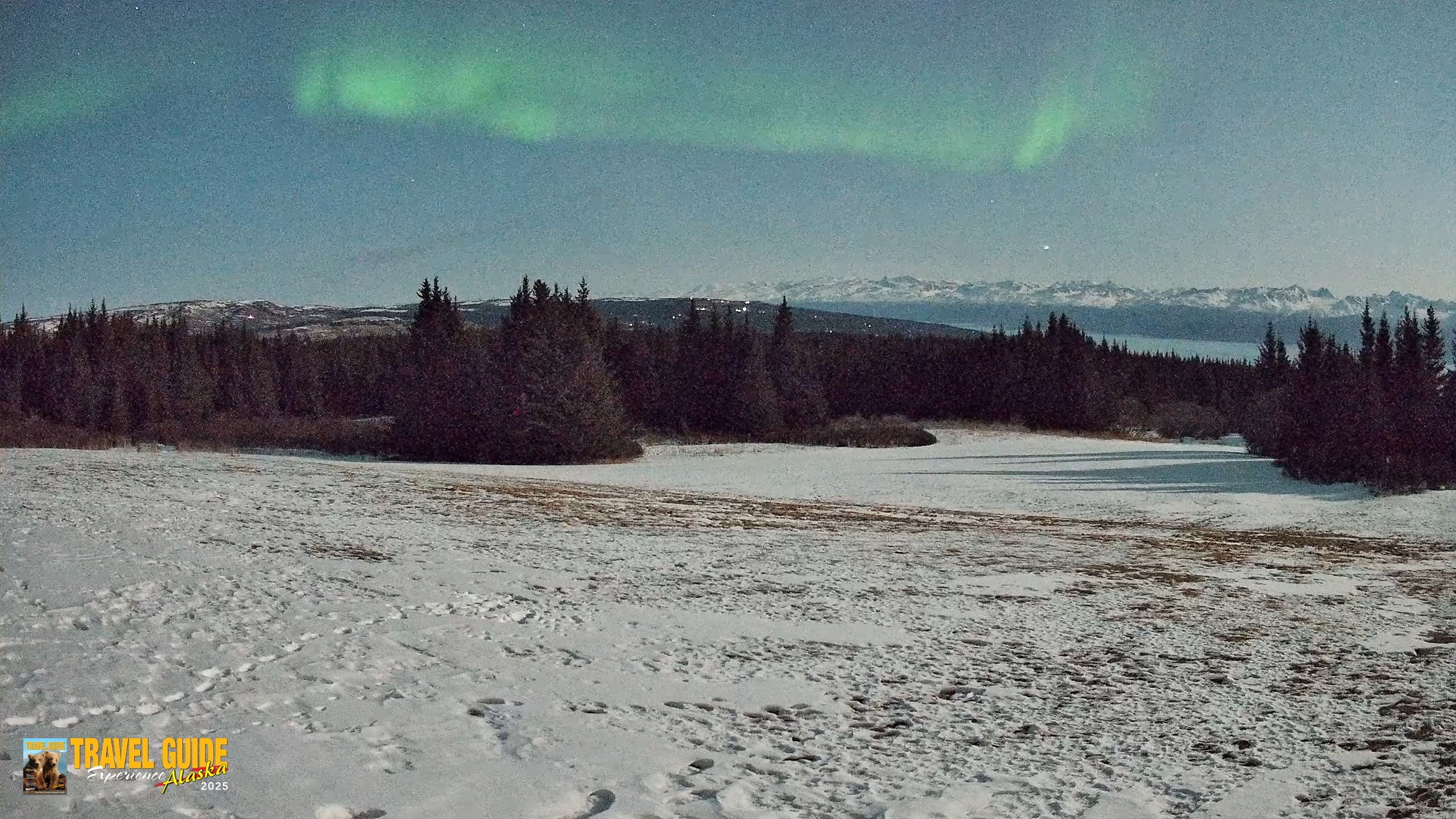 Snapshot of Homer Alaska Northern Lights Live Cam taken Apr 2, 2026, 12:17am AKDT