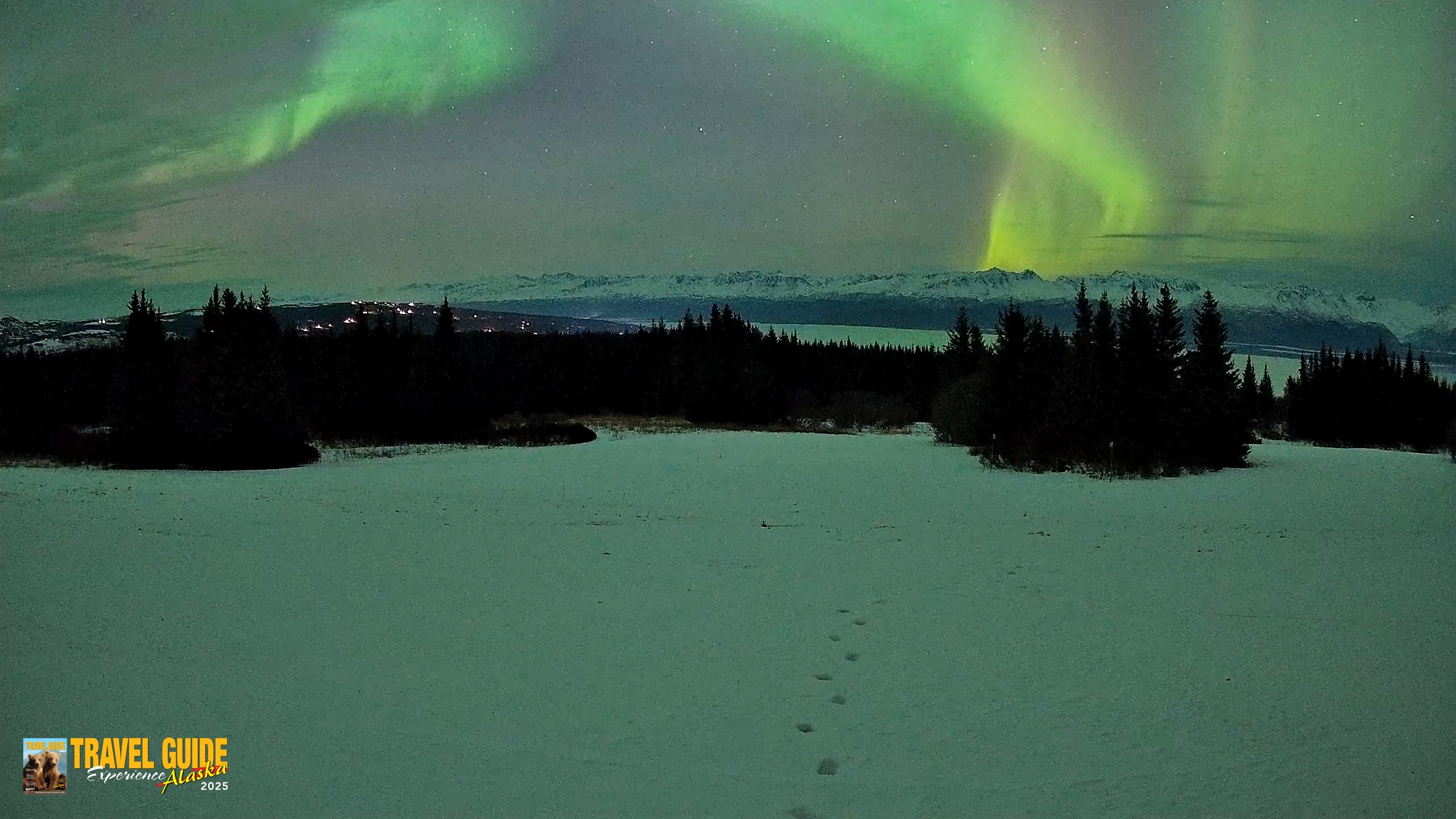 Snapshot of Homer Alaska Northern Lights Live Cam taken Jan 20, 2026, 10:28pm AKST