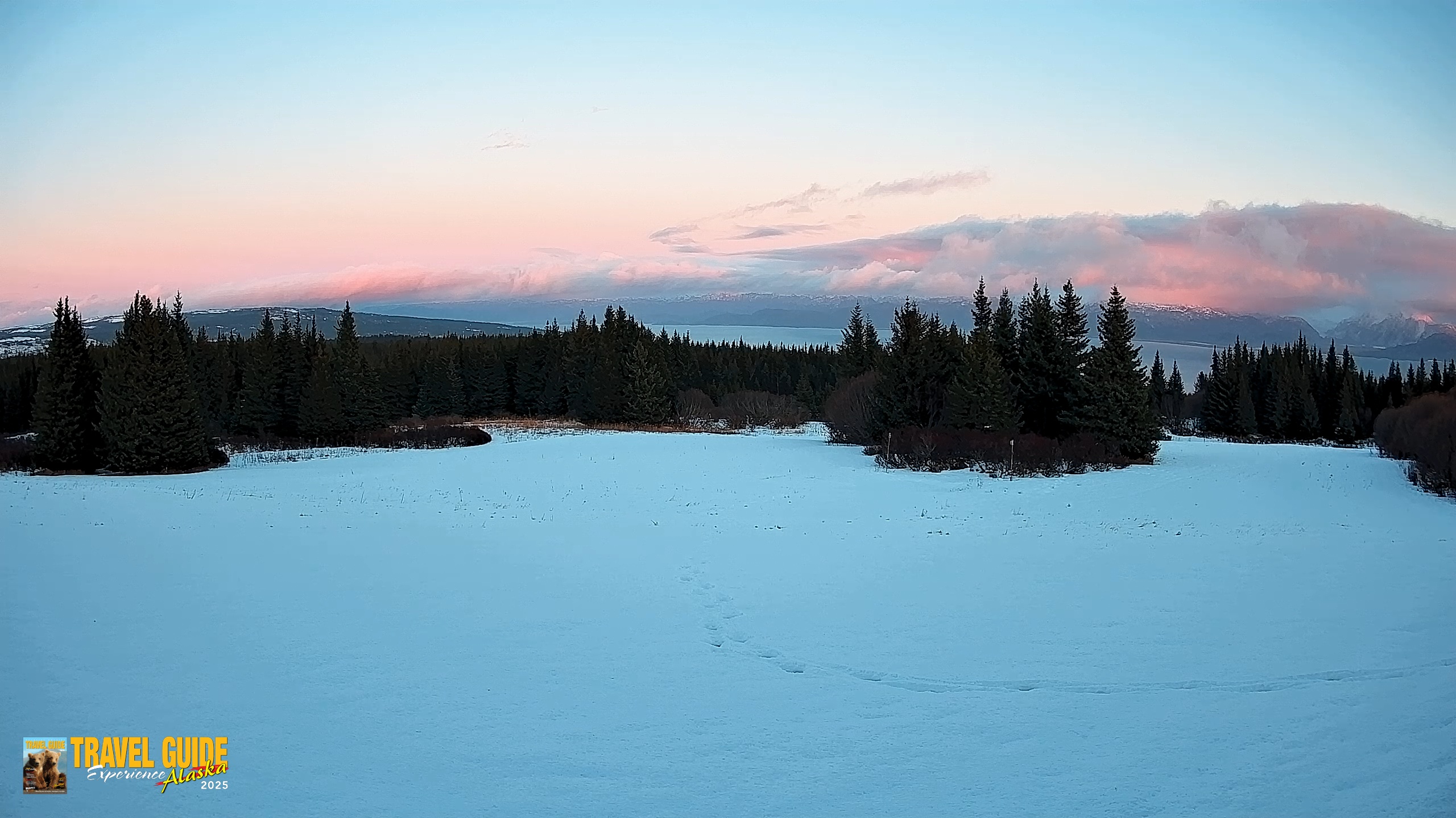 Snapshot of Homer Alaska Northern Lights Live Cam taken Feb 14, 2026, 5:57pm AKST