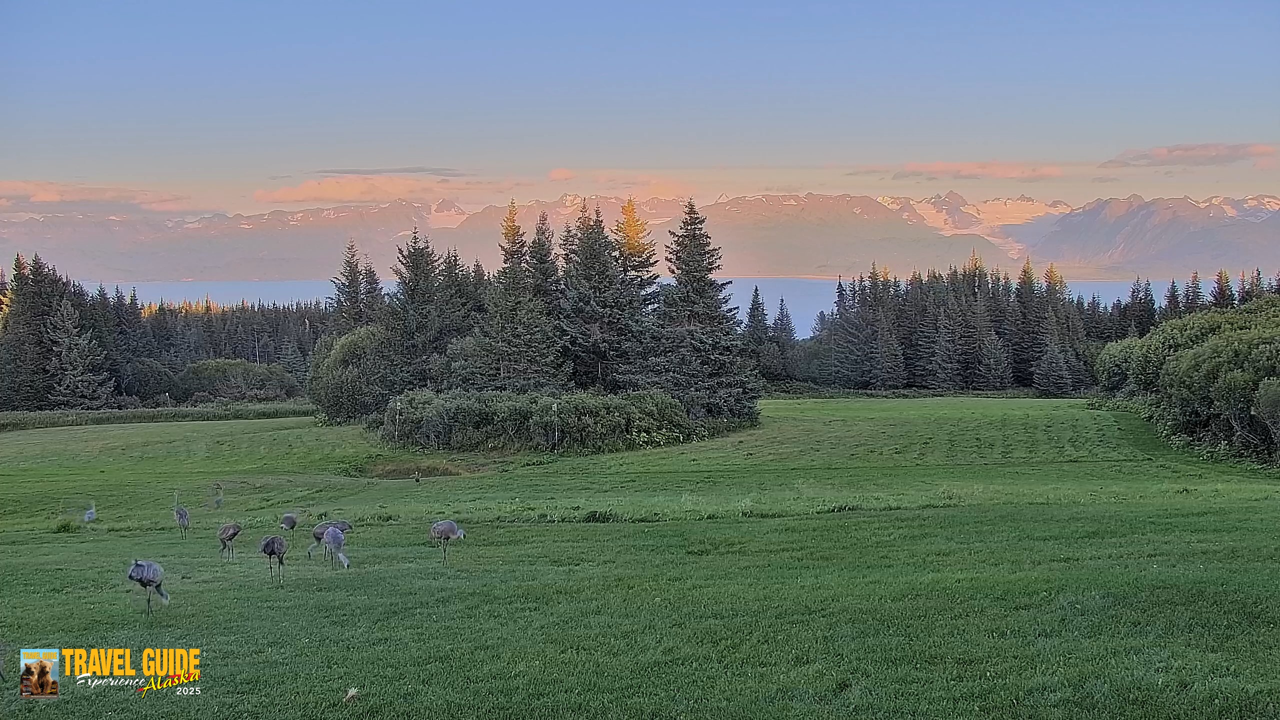 Snapshot of Homer Alaska Northern Lights Live Cam taken Aug 31, 2026, 8:38pm AKDT