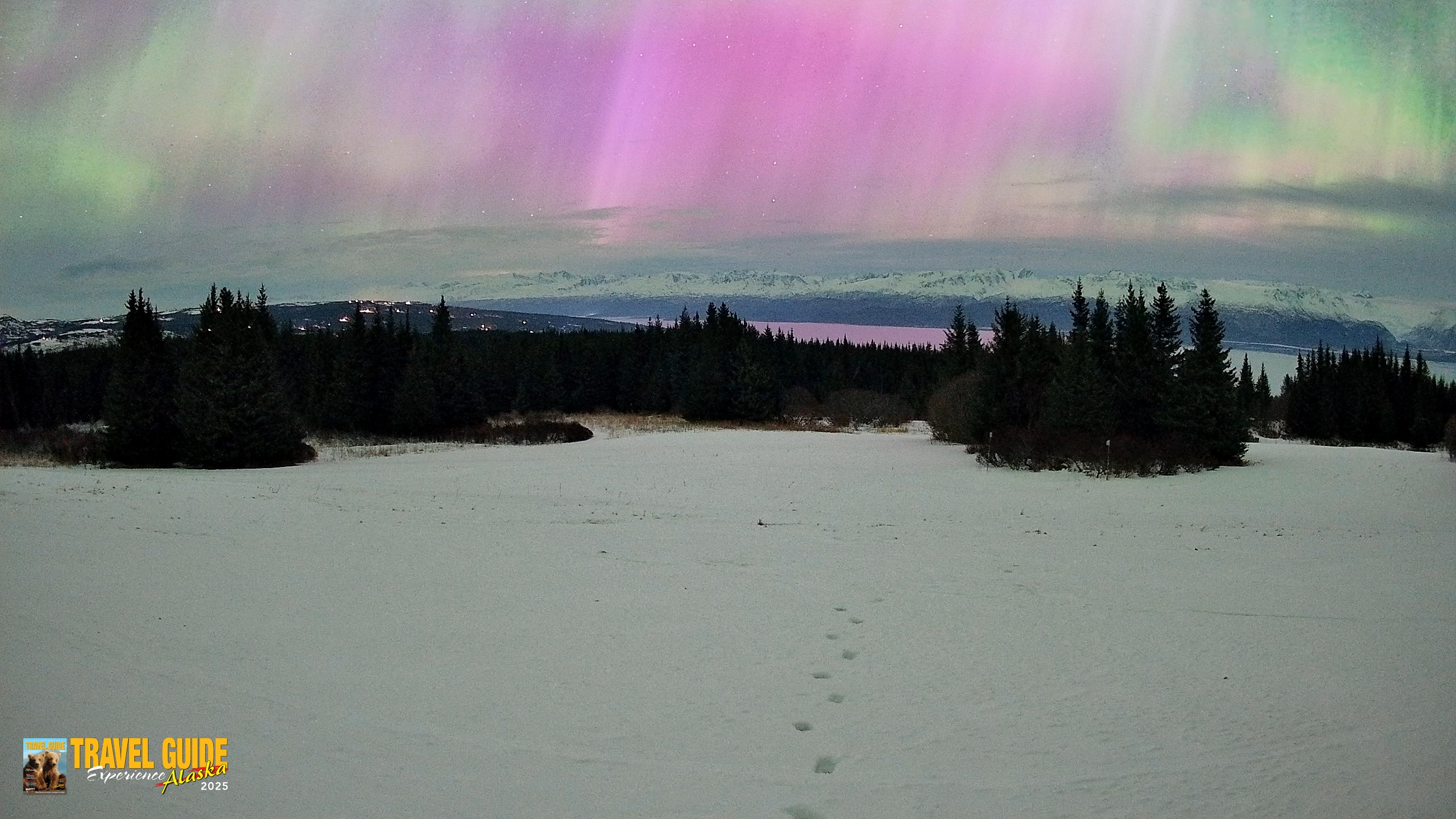 Snapshot of Homer Alaska Northern Lights Live Cam taken Jan 20, 2026, 6:39am AKST