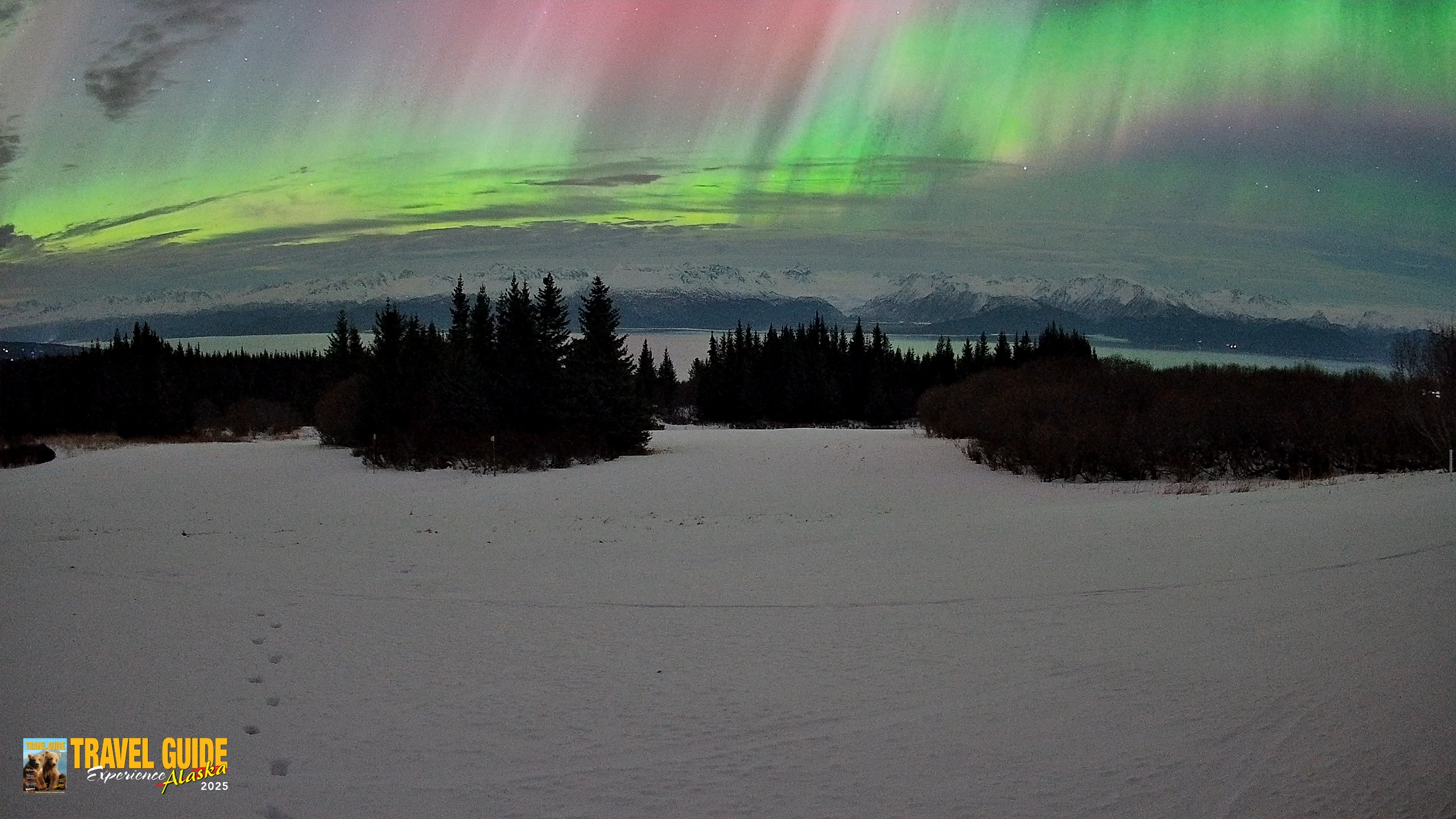 Snapshot of Homer Alaska Northern Lights Live Cam taken Jan 20, 2026, 3:03am AKST