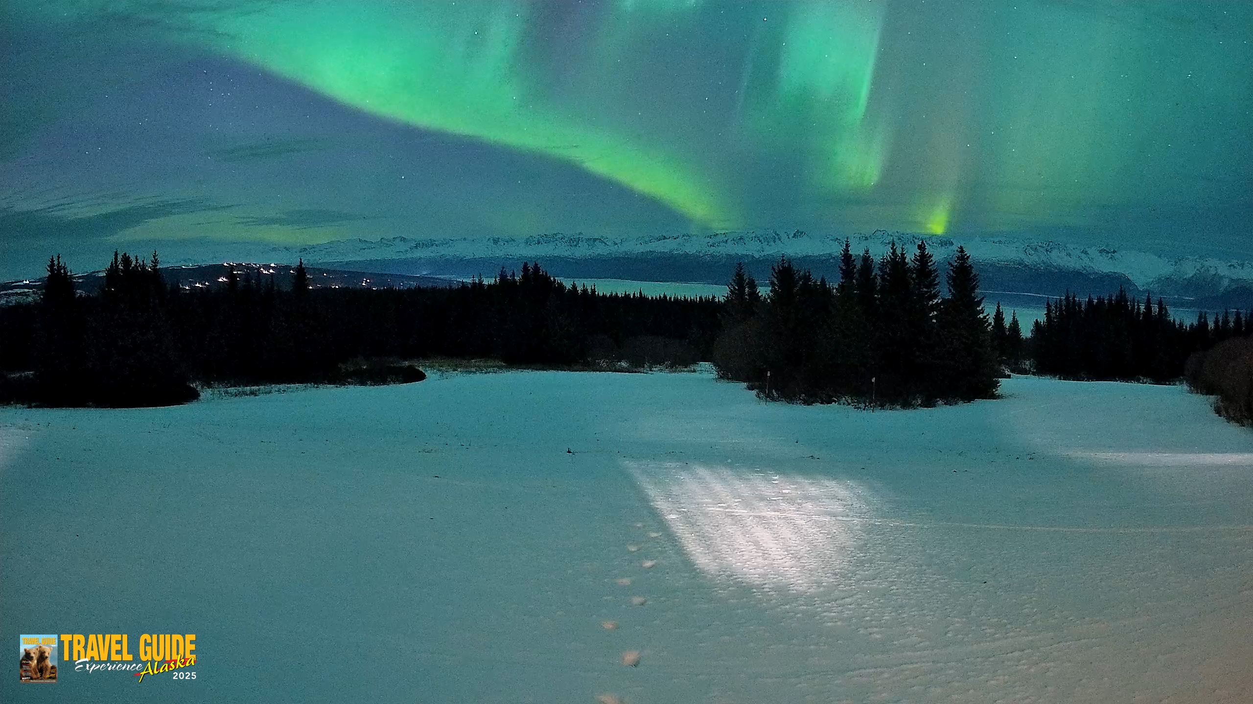 Snapshot of Homer Alaska Northern Lights Live Cam taken Jan 20, 2026, 9:58pm AKST