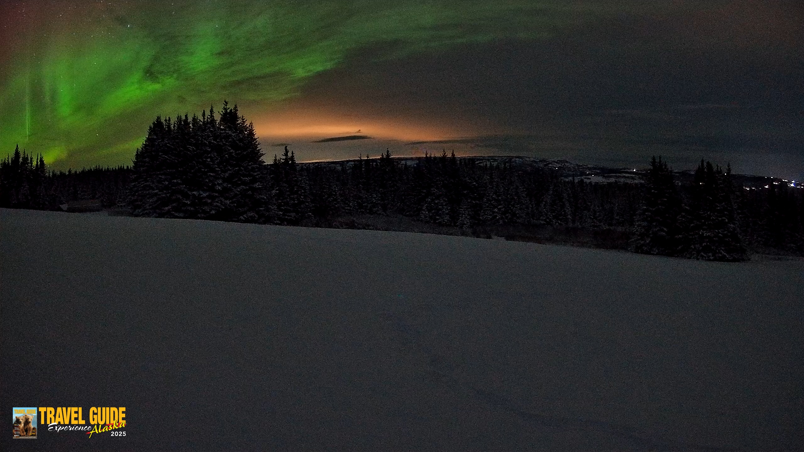 Snapshot of Homer Alaska Northern Lights Live Cam taken Jan 10, 2026, 10:06am AKST