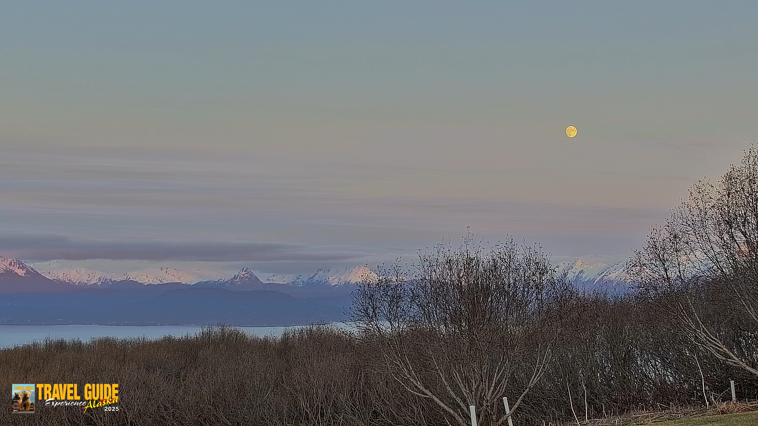 Snapshot of Homer Alaska Northern Lights Live Cam taken May 28, 2026, 11:03pm AKDT