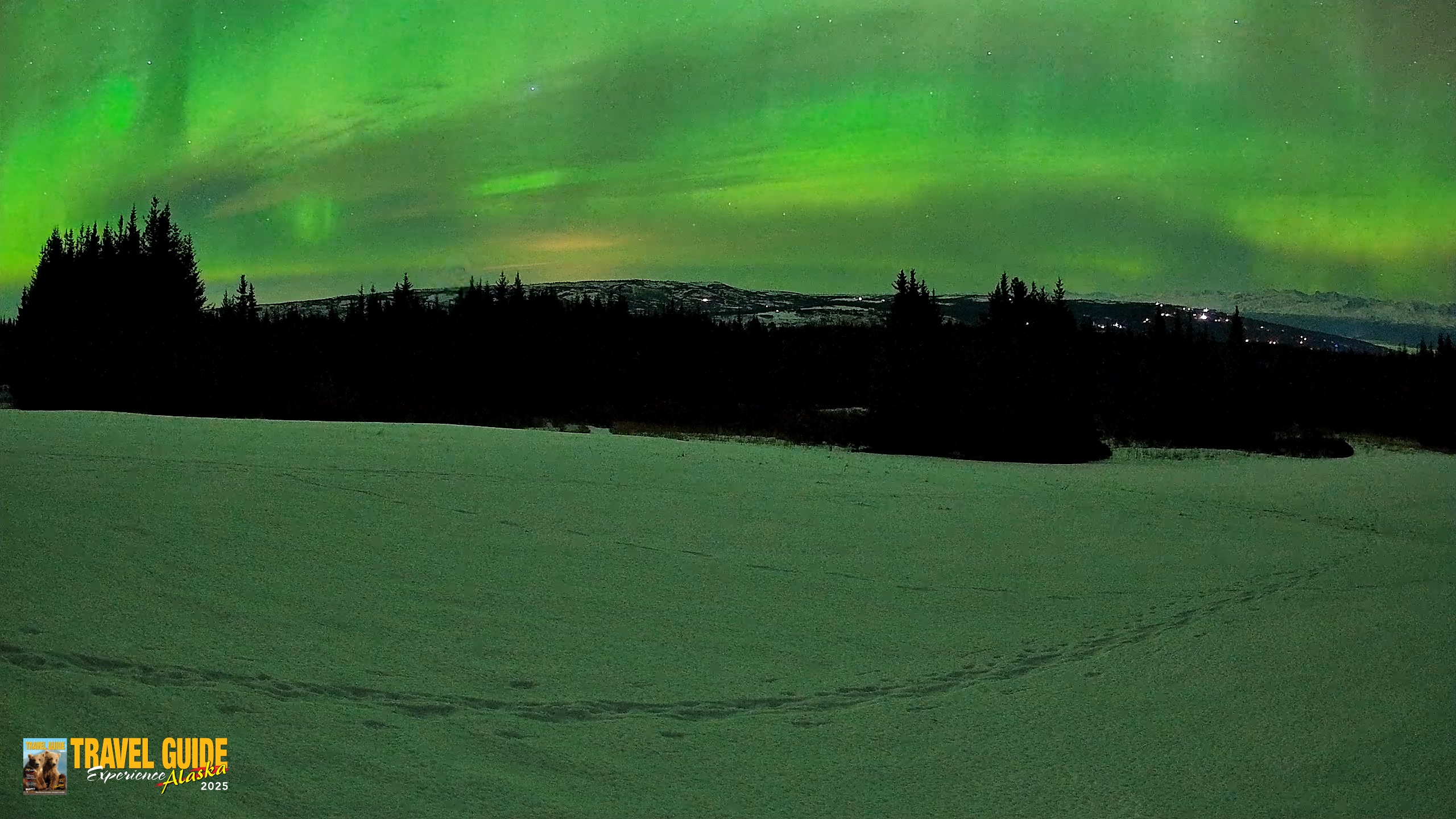 Snapshot of Homer Alaska Northern Lights Live Cam taken Feb 21, 2026, 11:41pm AKST