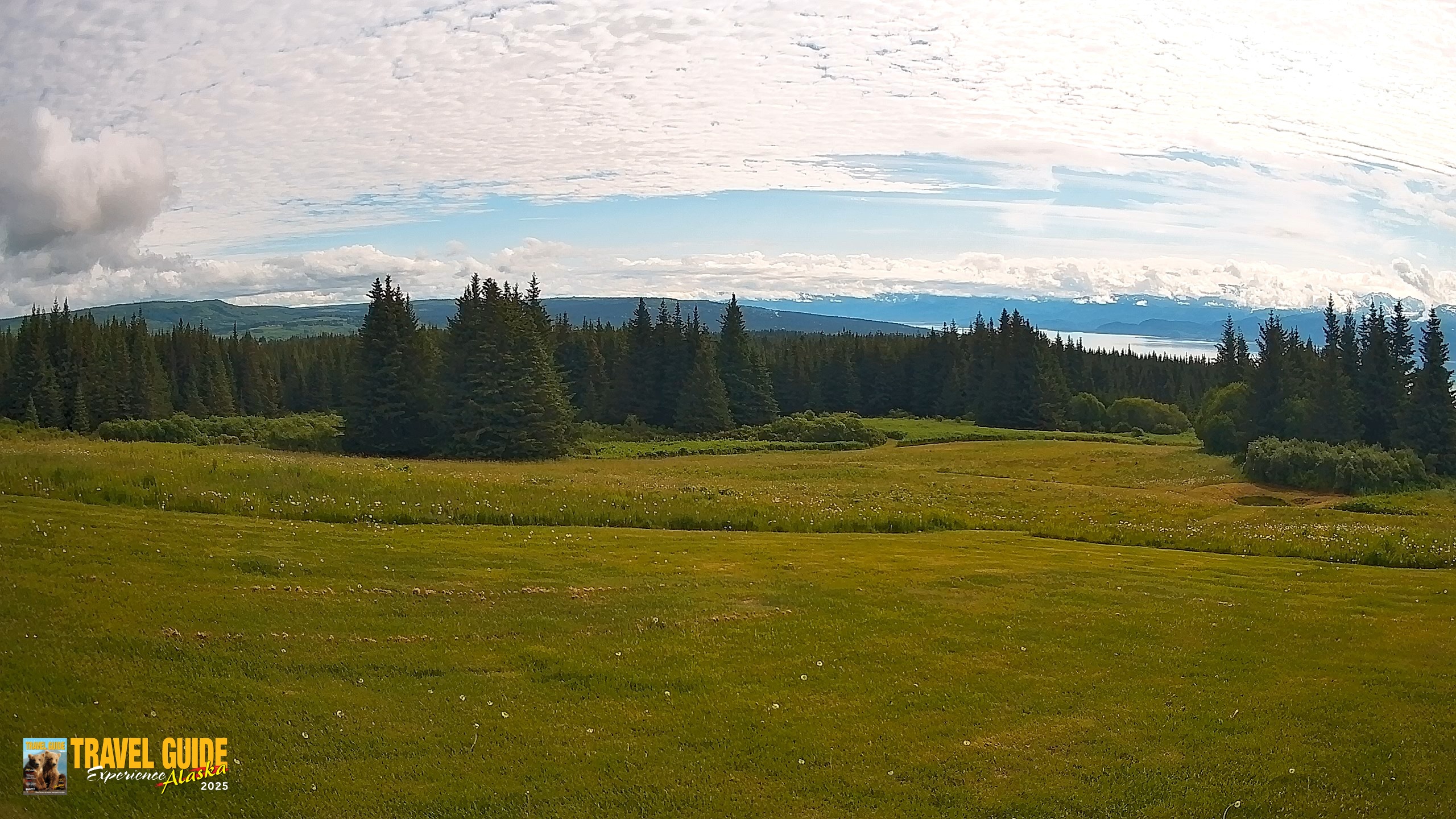 Snapshot of Homer Alaska Northern Lights Live Cam taken Jul 13, 2026, 10:39am AKDT