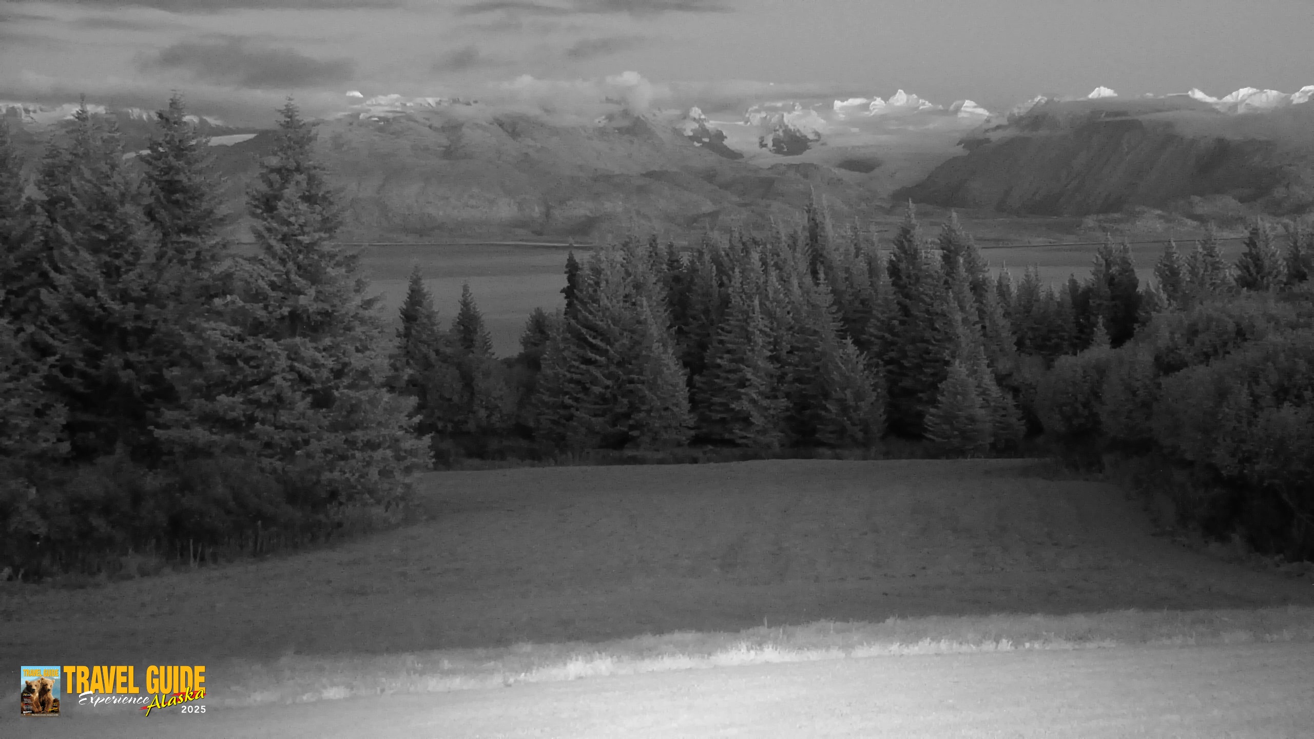 Snapshot of Homer Alaska Northern Lights Live Cam taken Oct 13, 2026, 8:01pm AKDT