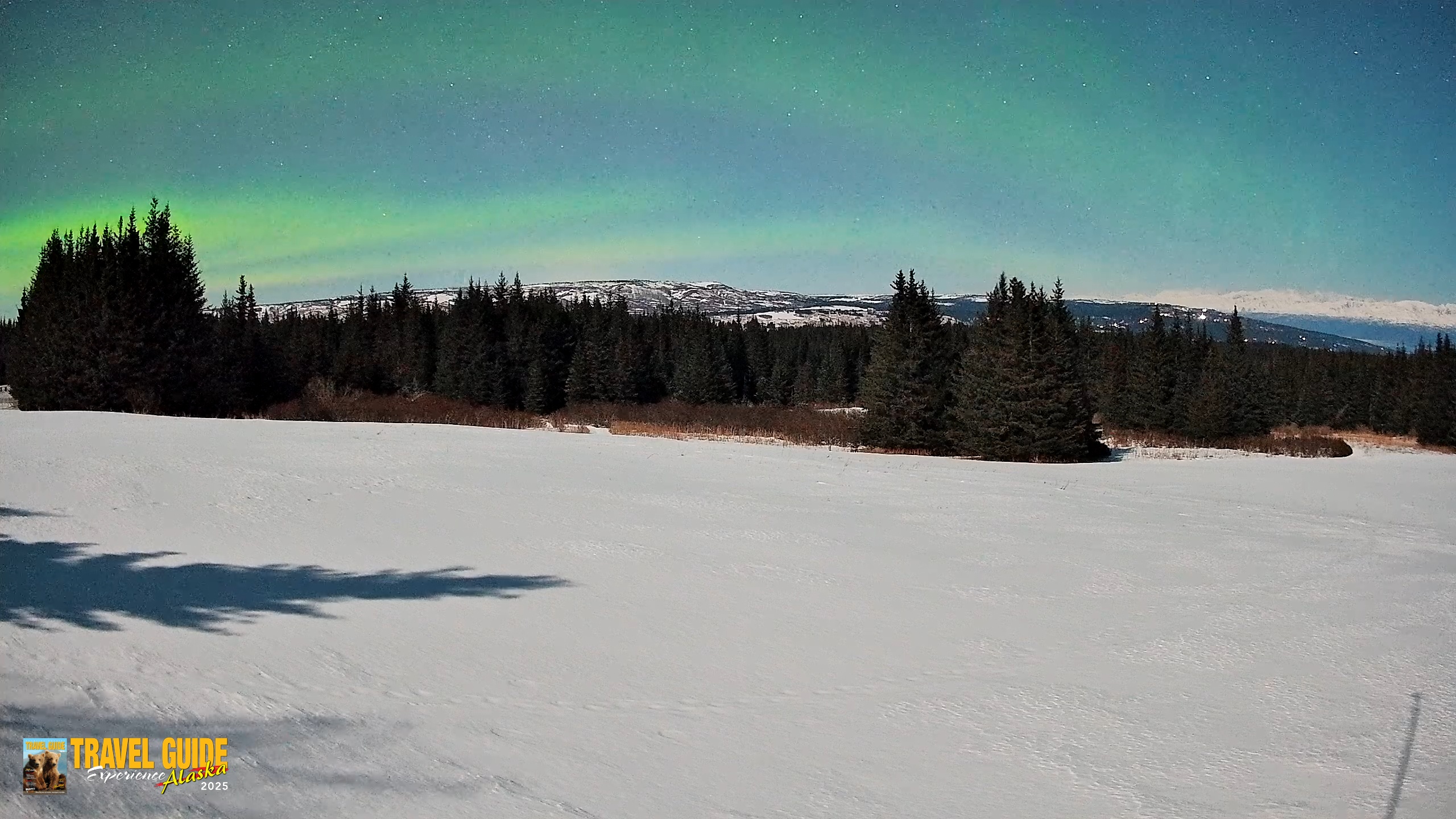Snapshot of Homer Alaska Northern Lights Live Cam taken Feb 26, 2026, 12:49am AKST