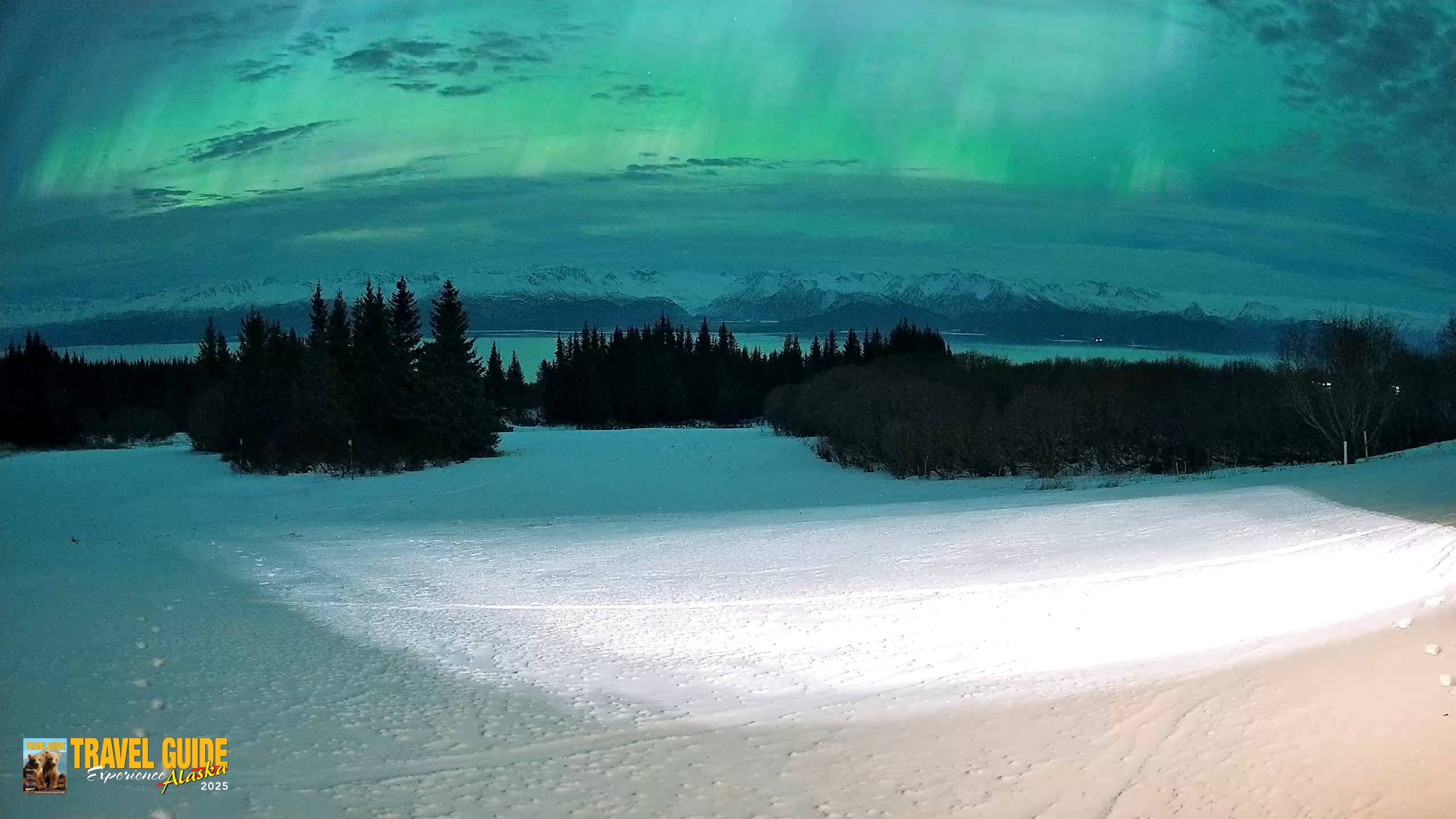 Snapshot of Homer Alaska Northern Lights Live Cam taken Jan 20, 2026, 1:45am AKST