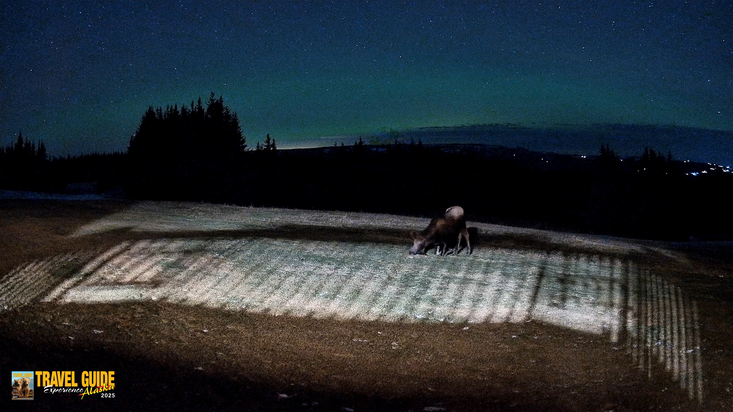 Snapshot of Homer Alaska Northern Lights Live Cam taken Dec 22, 2025, 9:49pm AKST