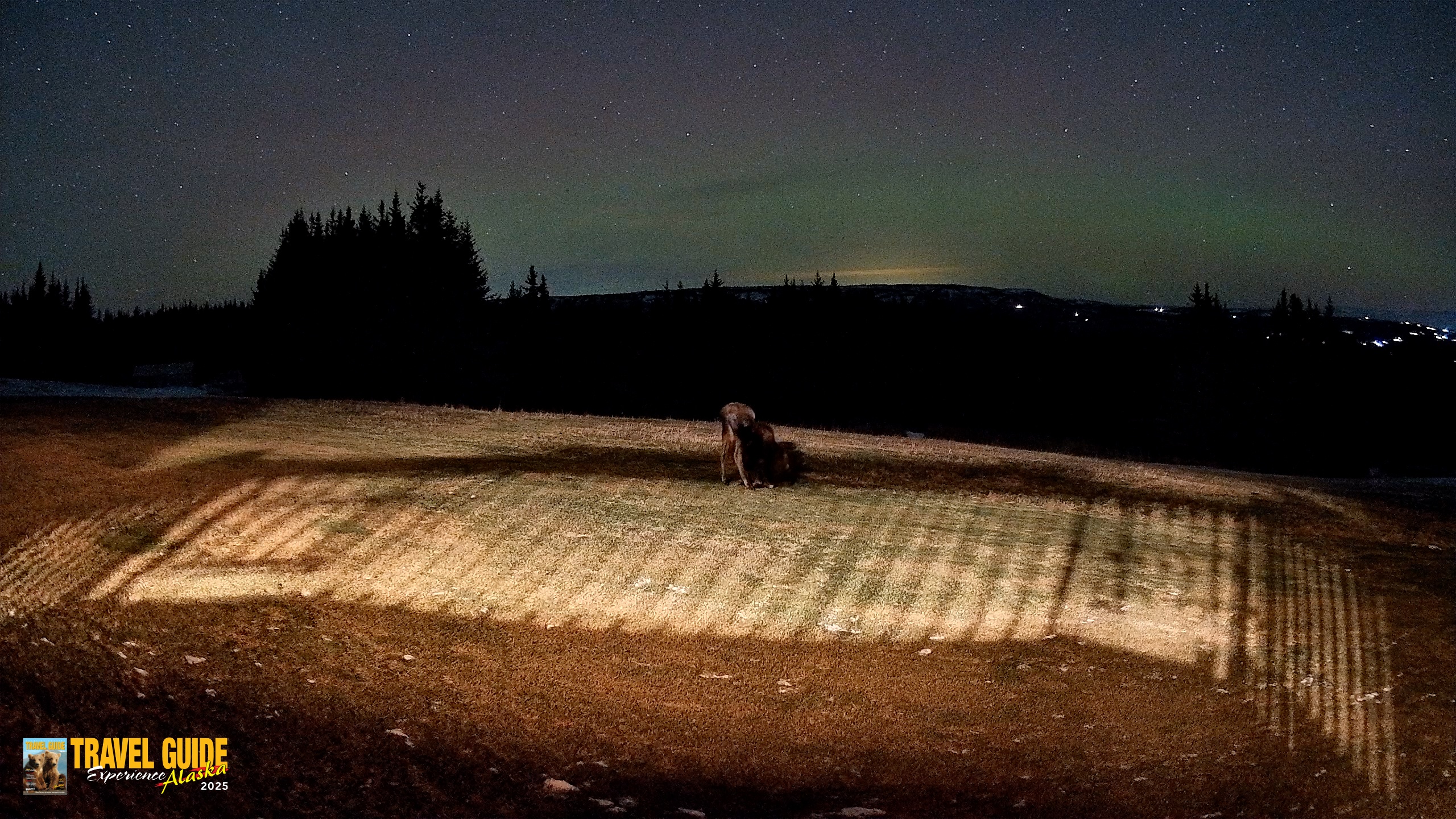 Snapshot of Homer Alaska Northern Lights Live Cam taken Dec 15, 2025, 9:45pm AKST