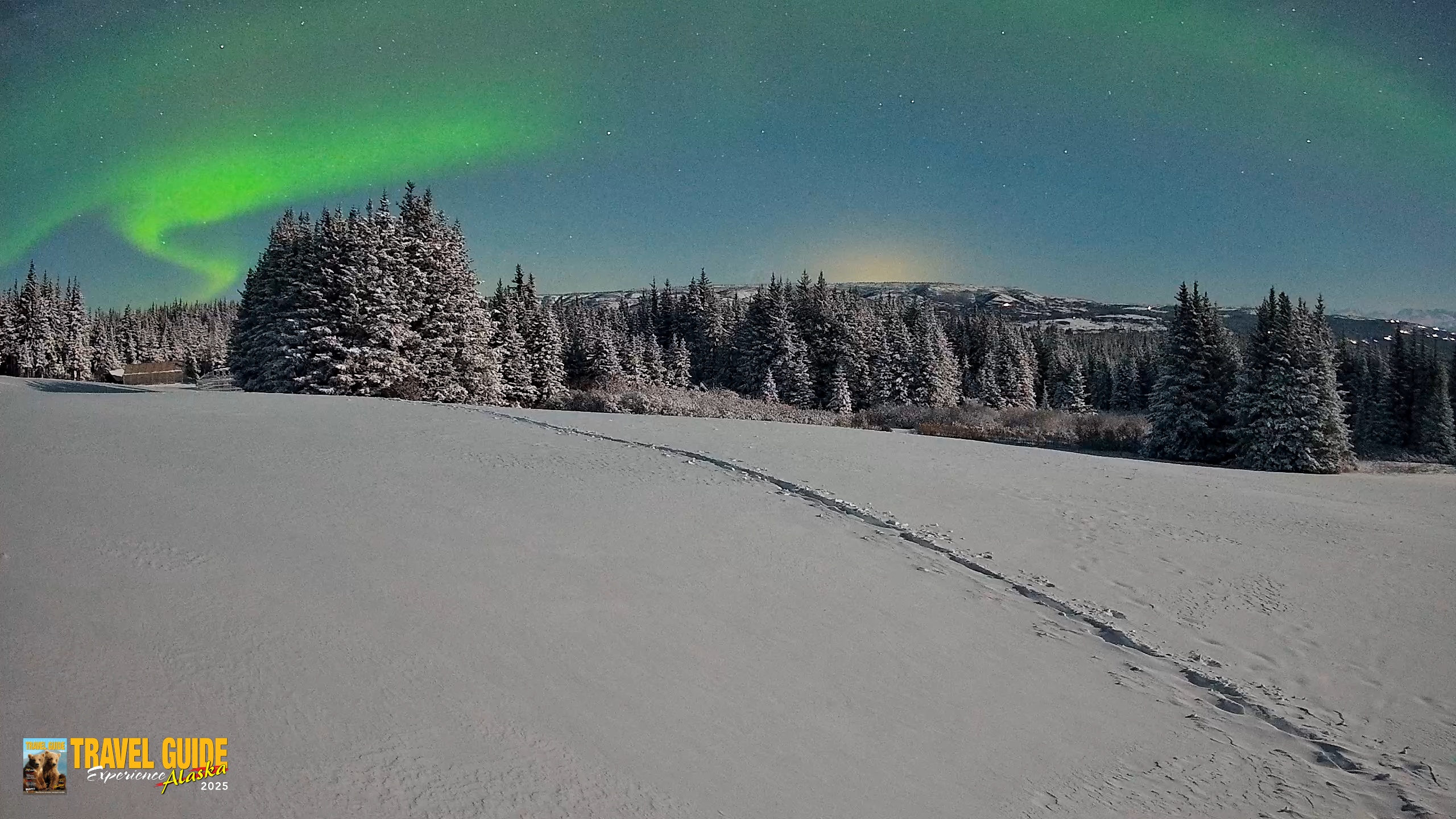 Snapshot of Homer Alaska Northern Lights Live Cam taken Jan 8, 2026, 1:47am AKST