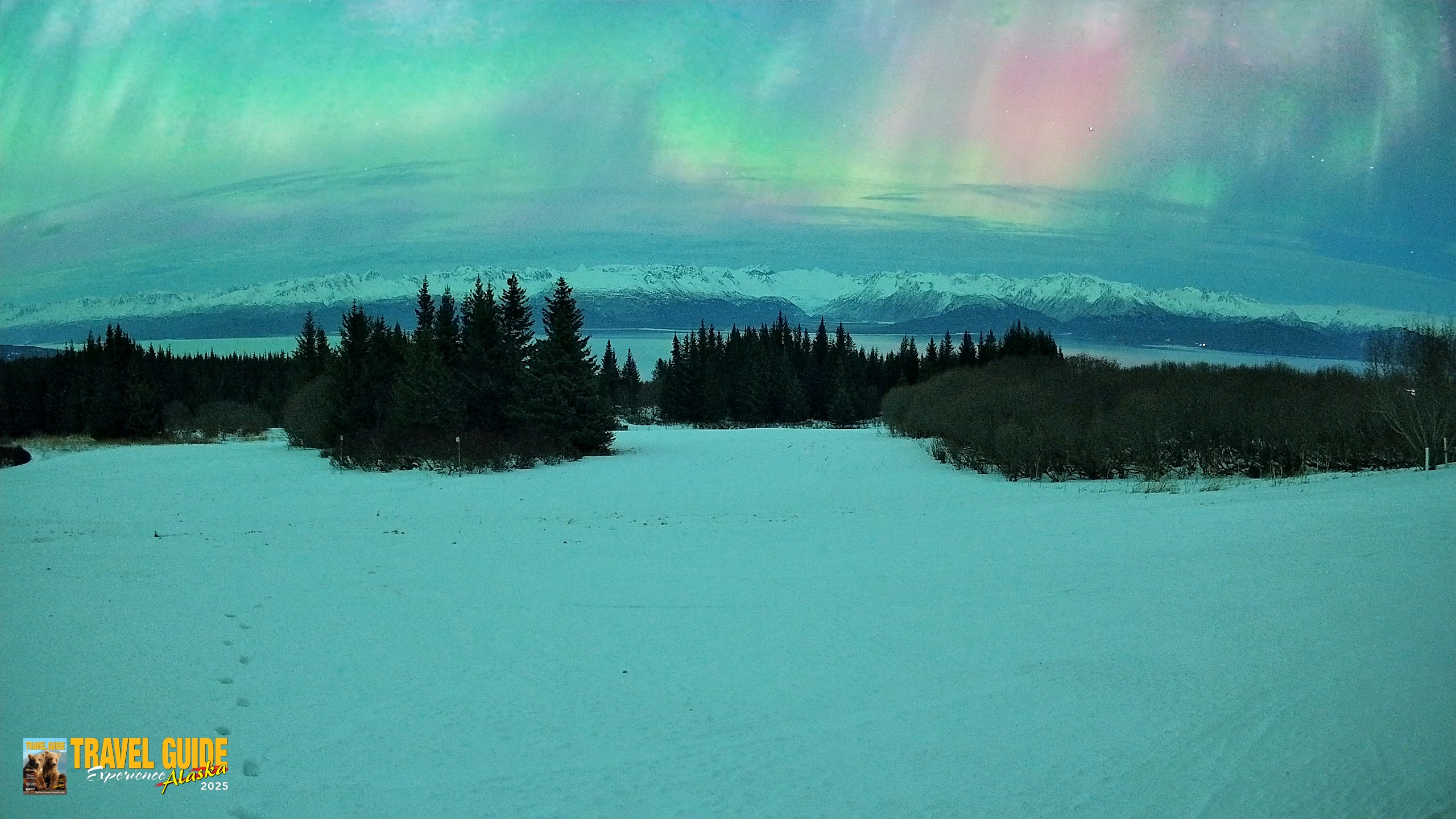 Snapshot of Homer Alaska Northern Lights Live Cam taken Jan 20, 2026, 3:29am AKST