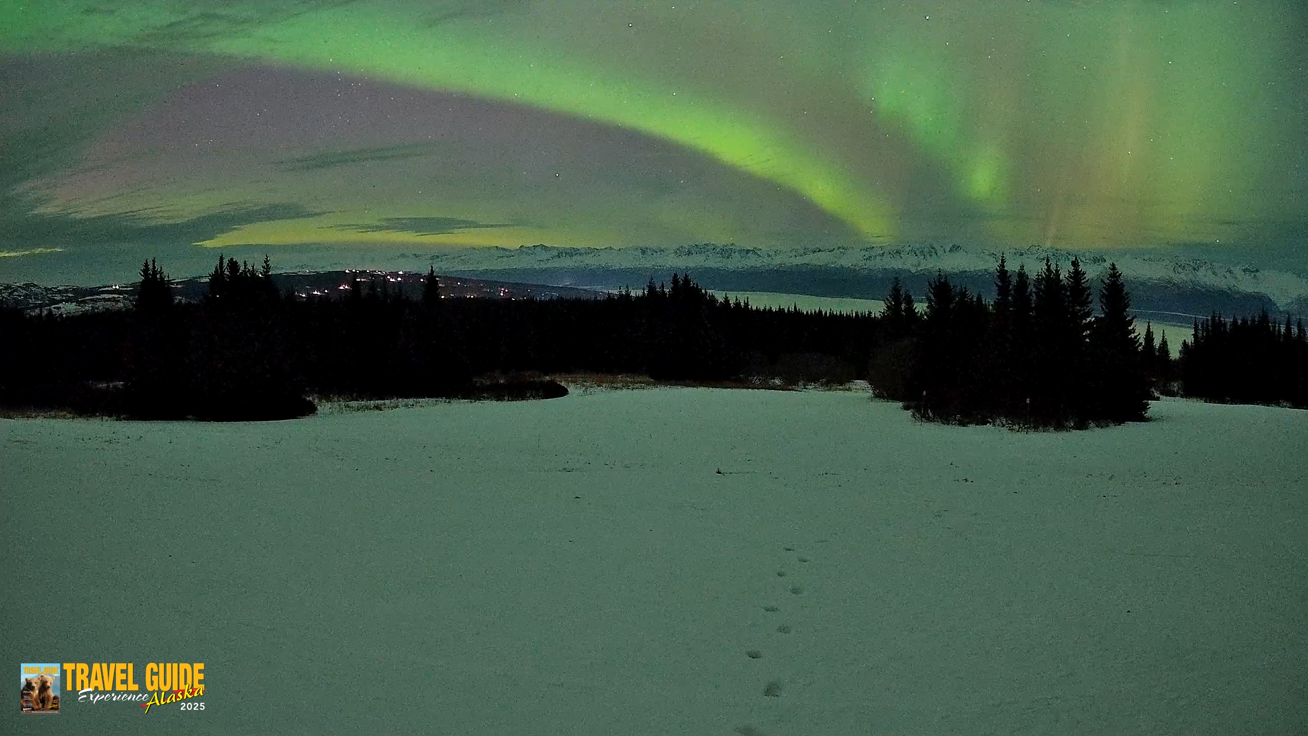 Snapshot of Homer Alaska Northern Lights Live Cam taken Jan 20, 2026, 9:59pm AKST