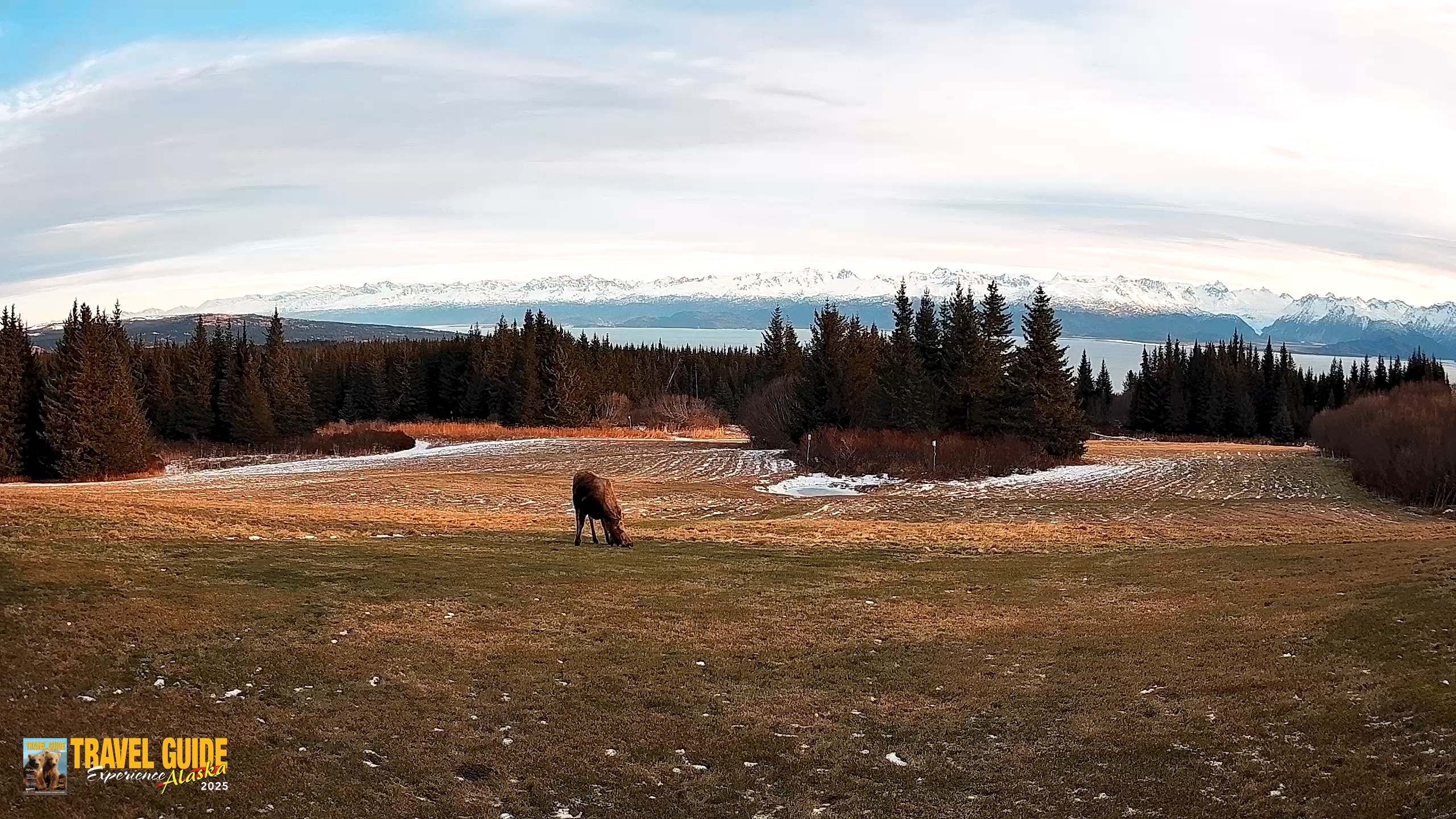 Snapshot of Homer Alaska Northern Lights Live Cam taken Dec 22, 2025, 2:00pm AKST